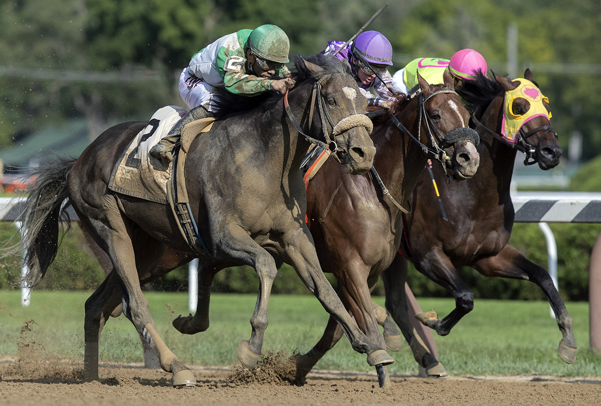 Can You Diggit wins the 2018 Evan Shipman