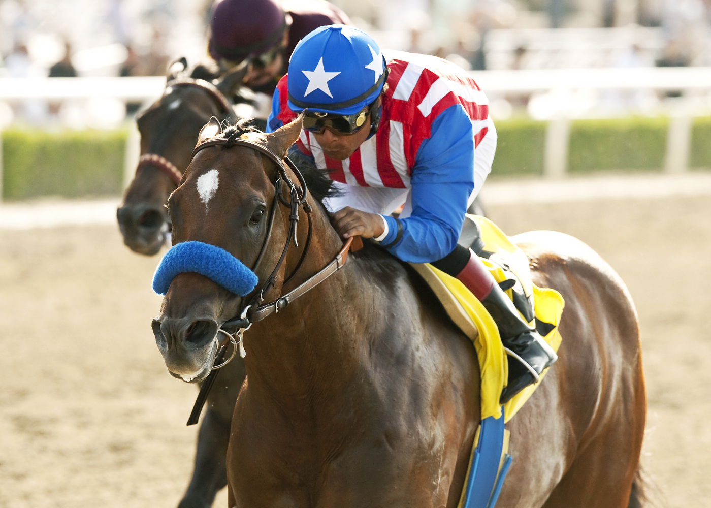 Can the Man wins the Affirmed