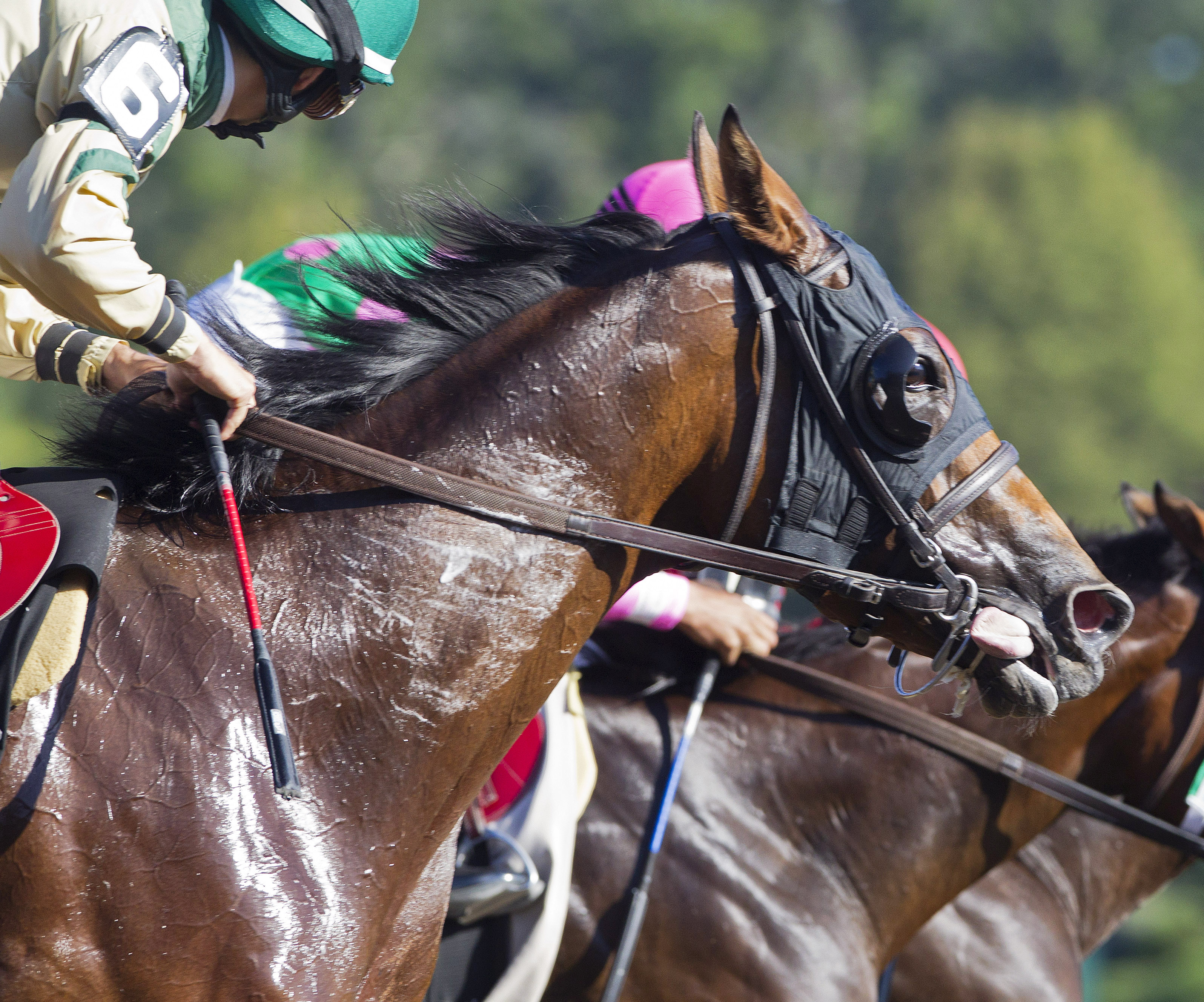 Canal Six finishes third in the 2014 Fleet Indian