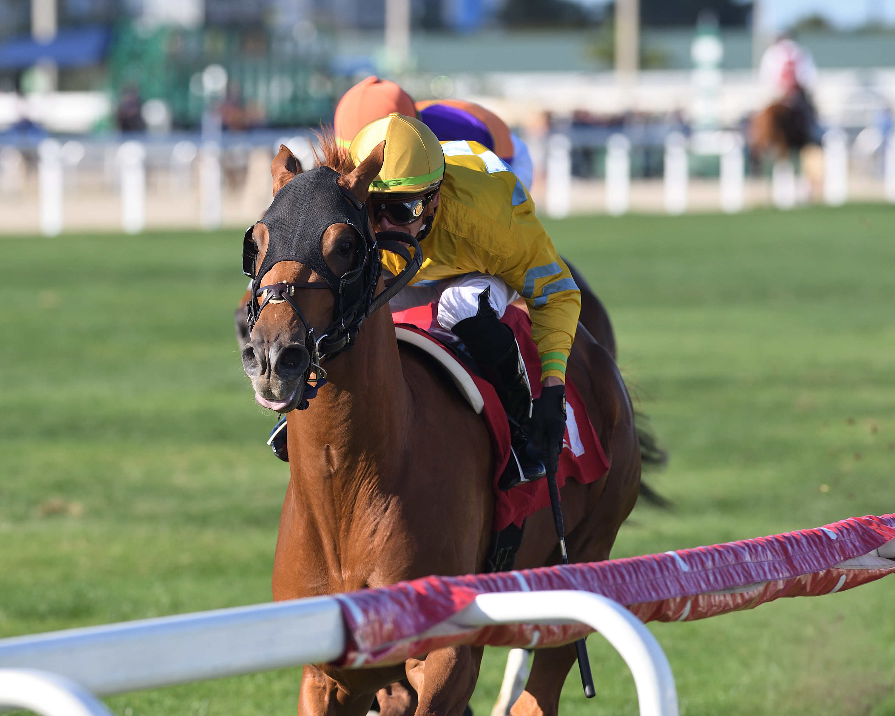 Candidate wins the Dania Beach at GP Jan 7 2023