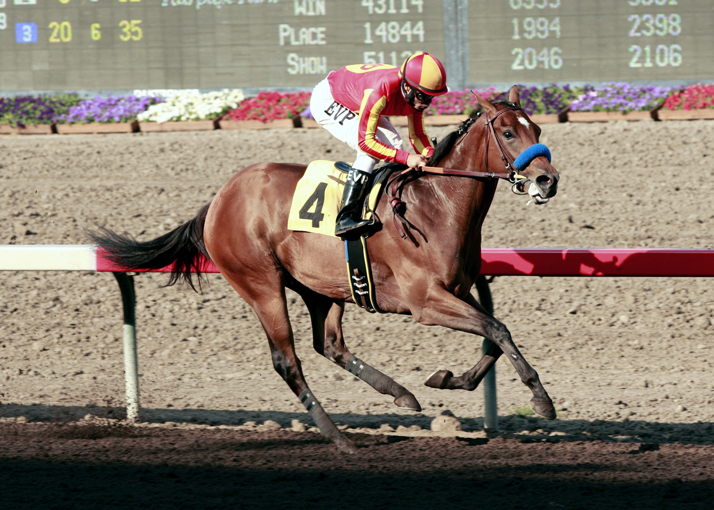 Candrea/Phil D. Shepherd Stakes