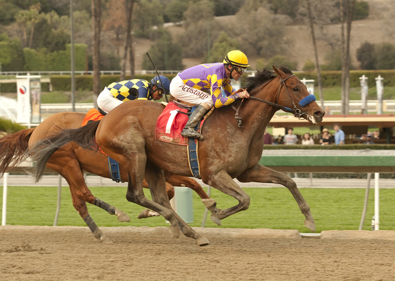 Candy Boy 2-8-2014