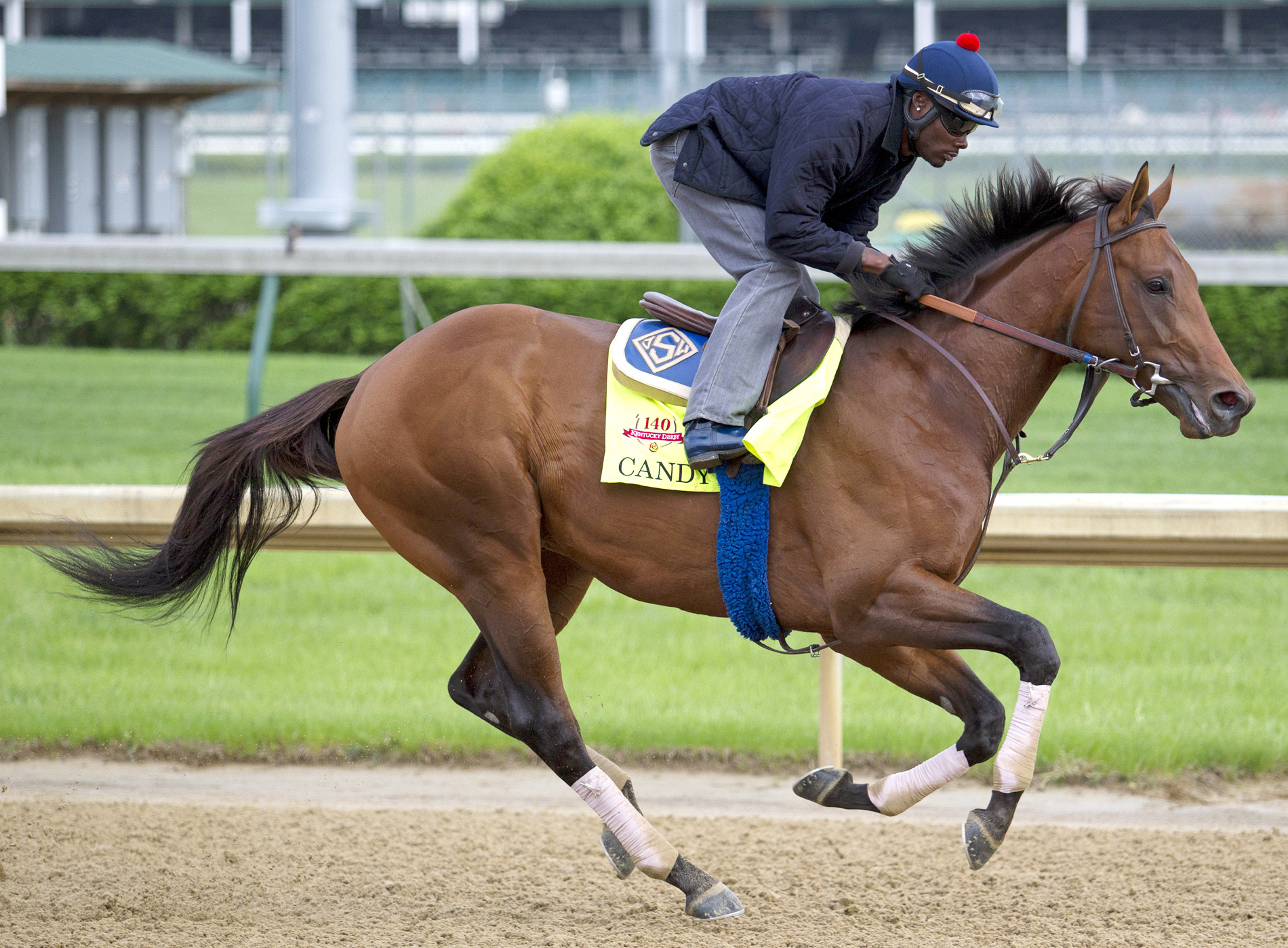 Candy Boy trains on April 29