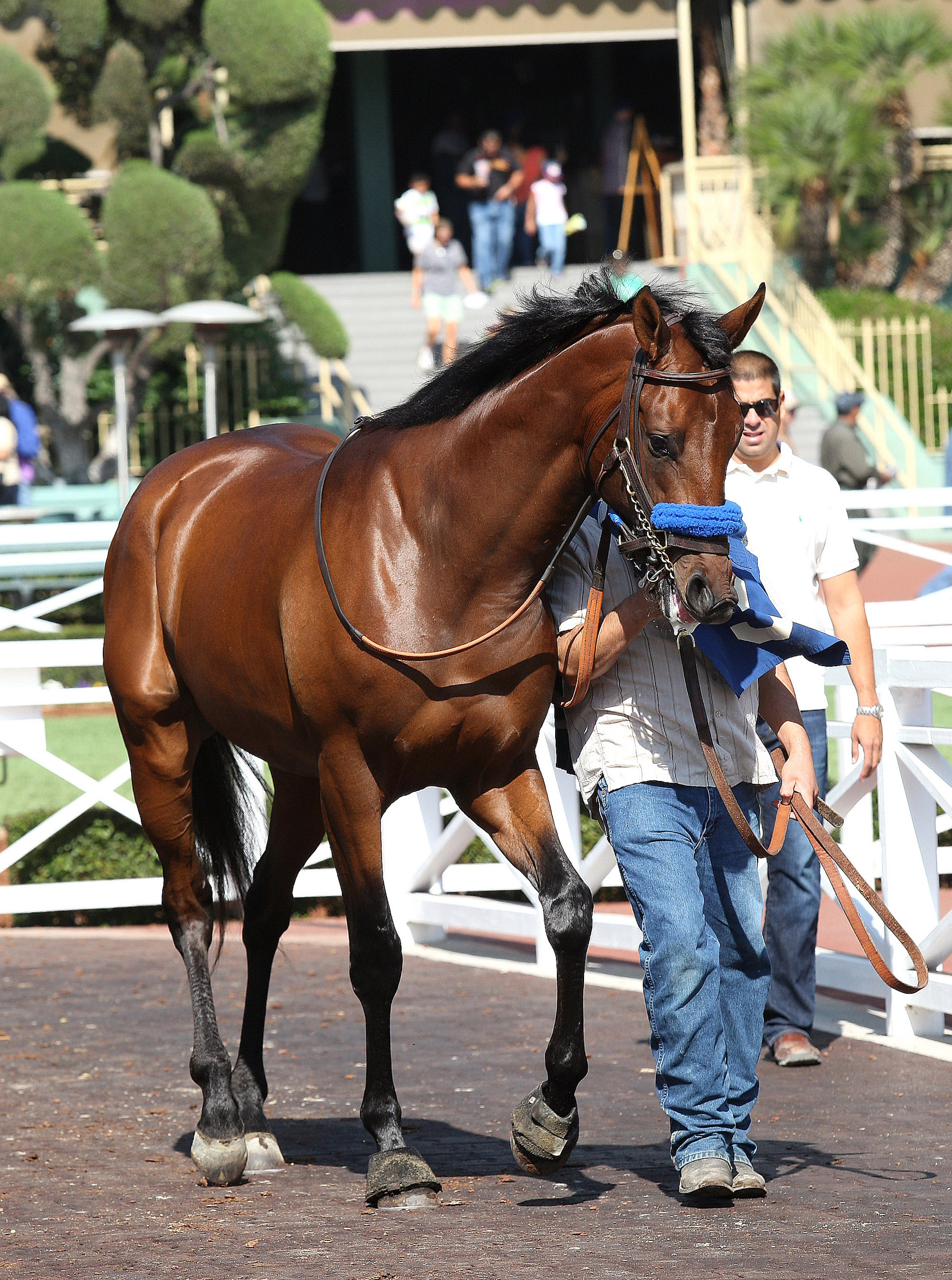 Candy Boy 10-12-2013