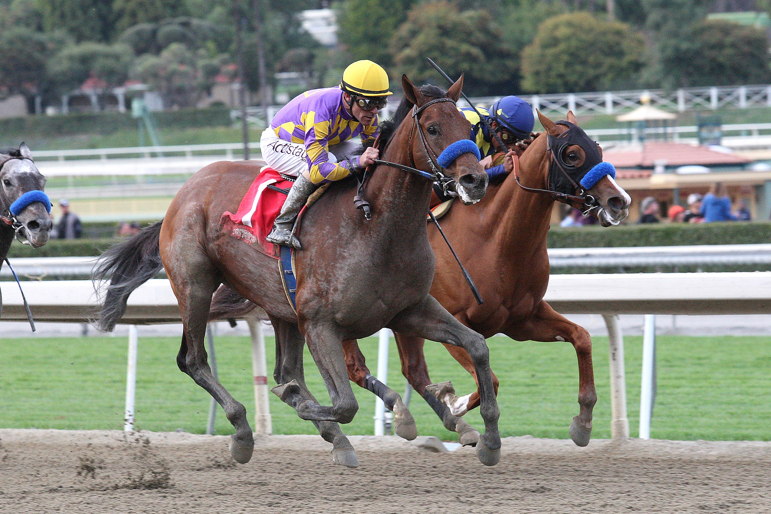 Candy Boy wins the Robert B. Lewis