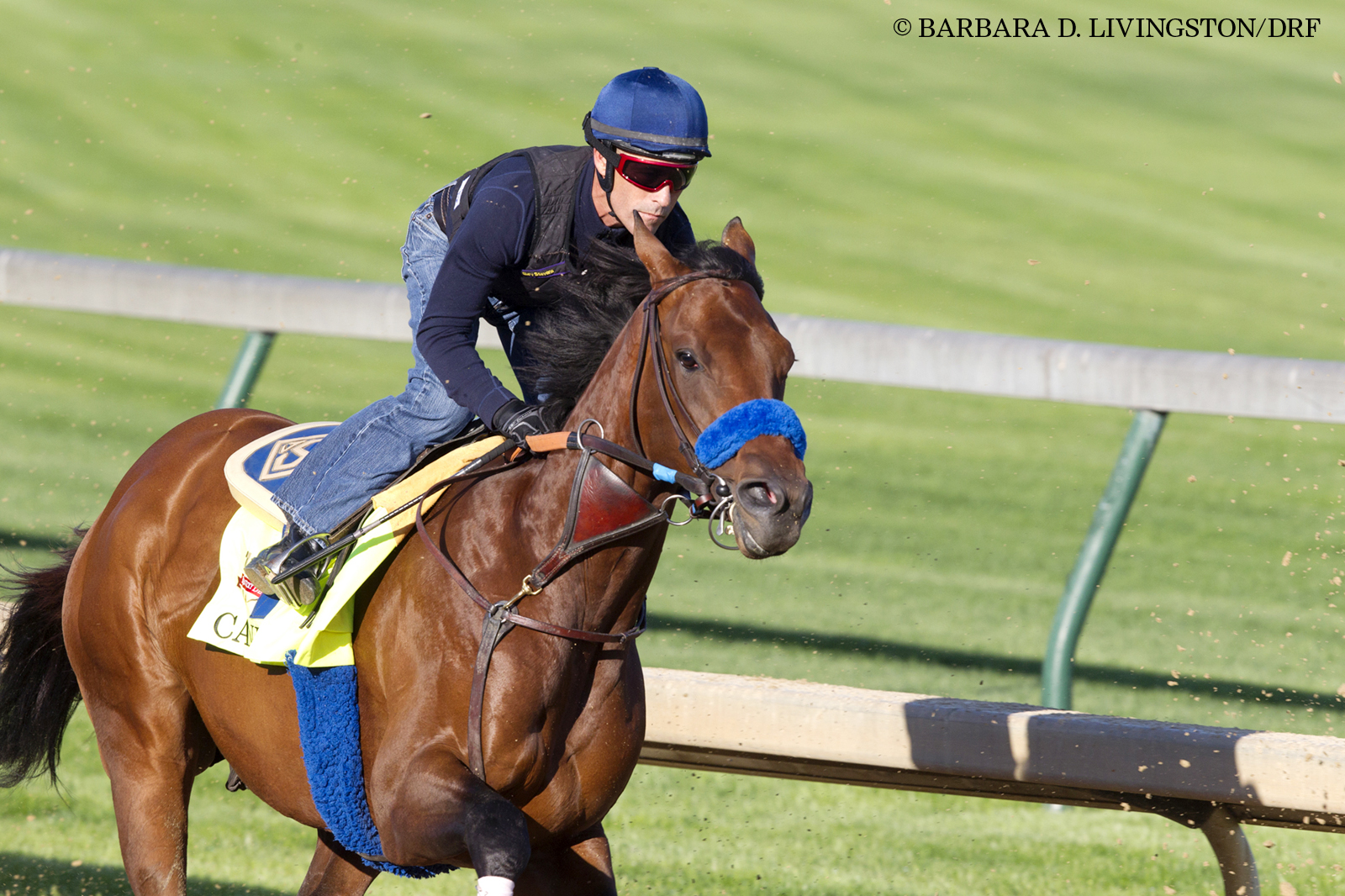 Candy Boy, Derby work, April 26