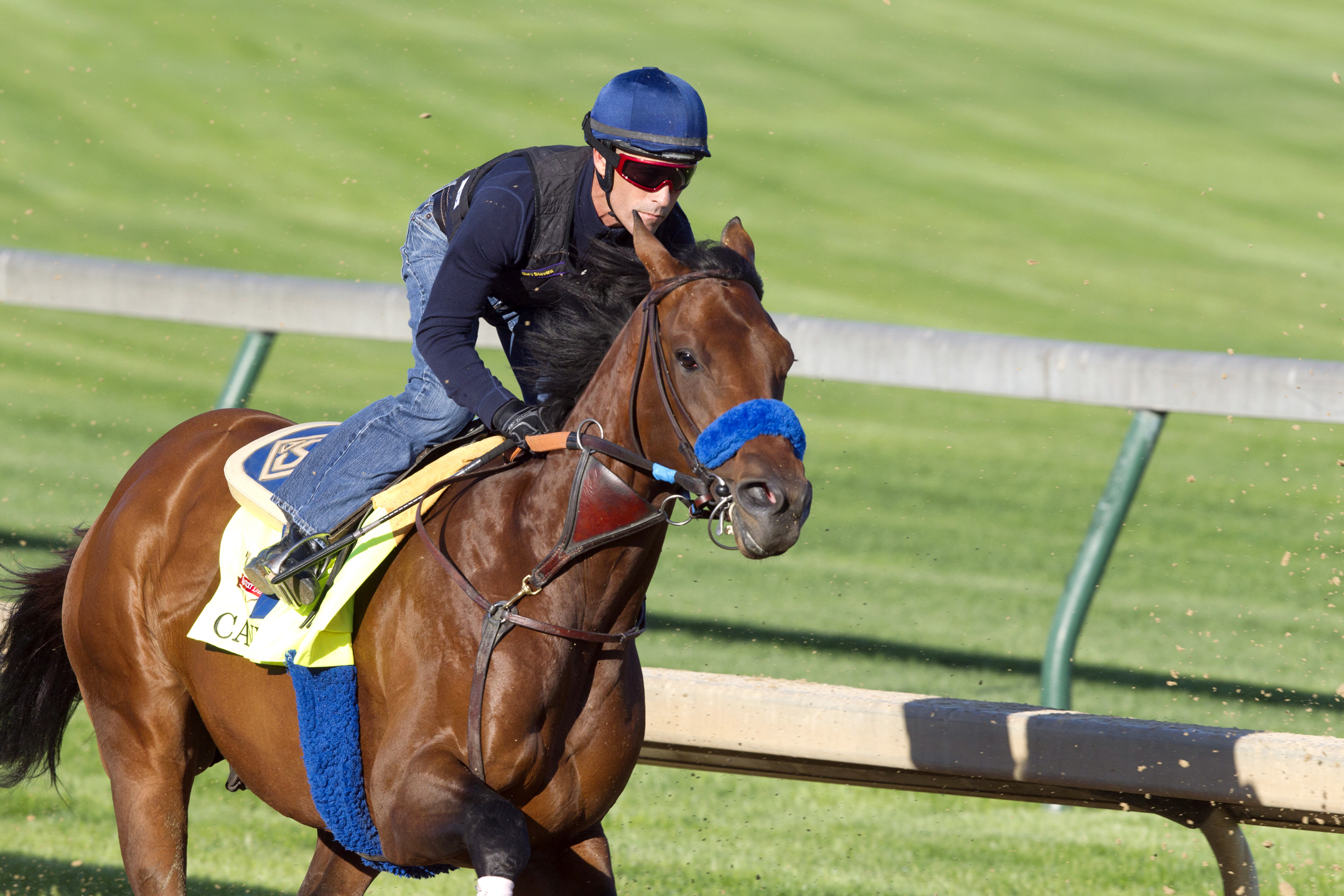 Candy Boy training for the Kentucky Derby at Churchill Downs