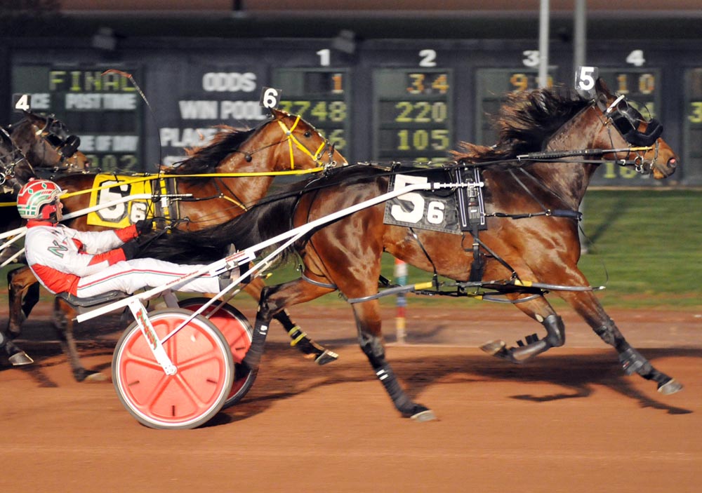 Candy Corn Hanover