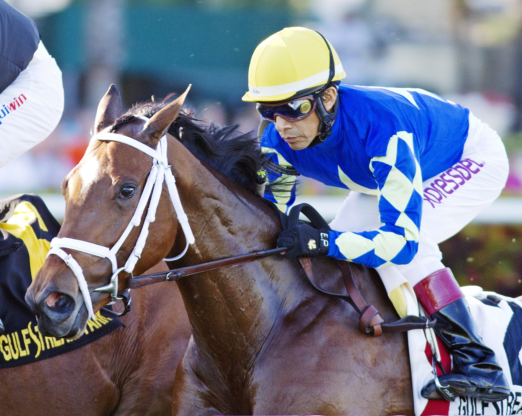 Candy Kitty finishes second in the Herecomesthebride