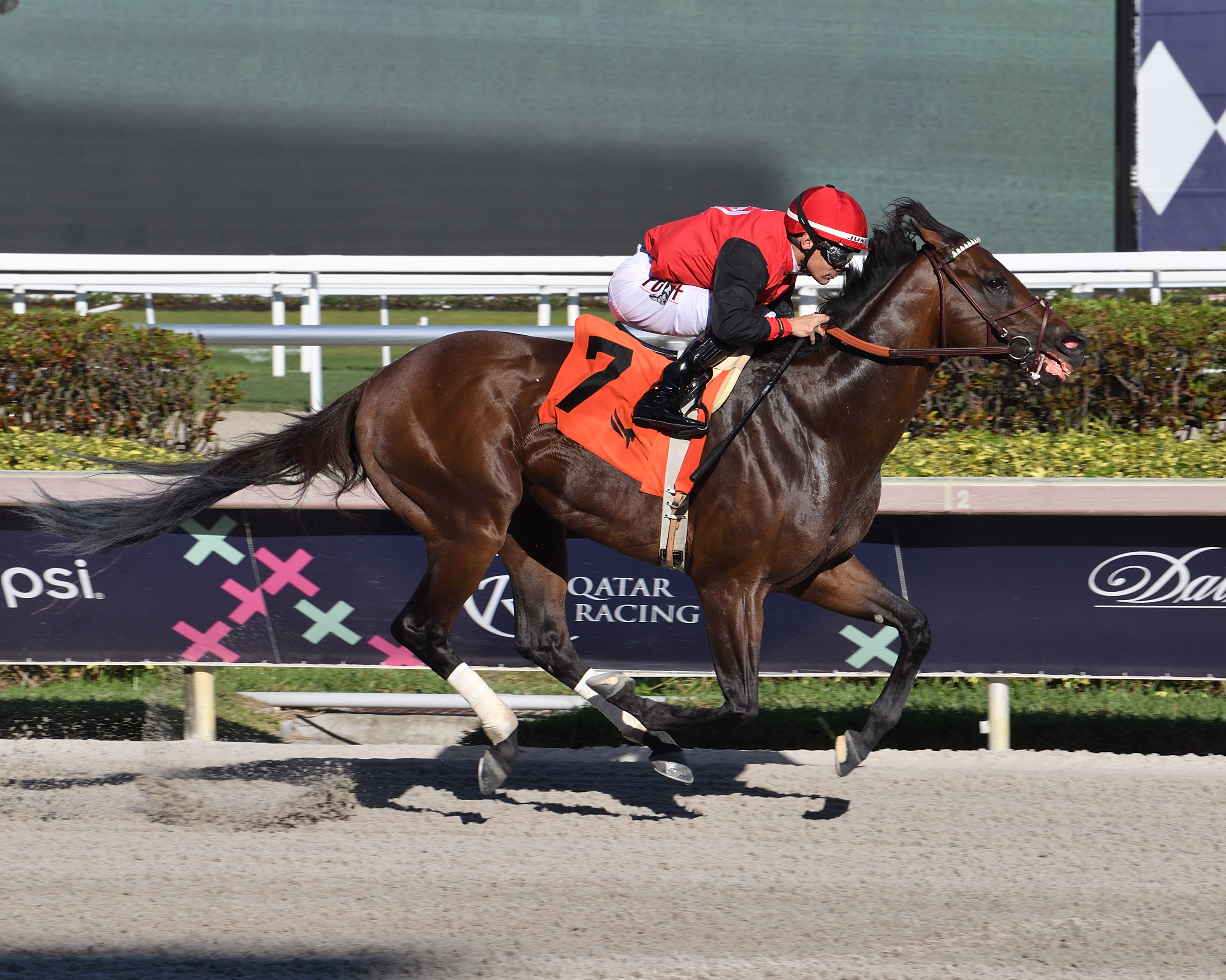 Candy Man Rocket - Gulfstream Park Sprint S. 2023