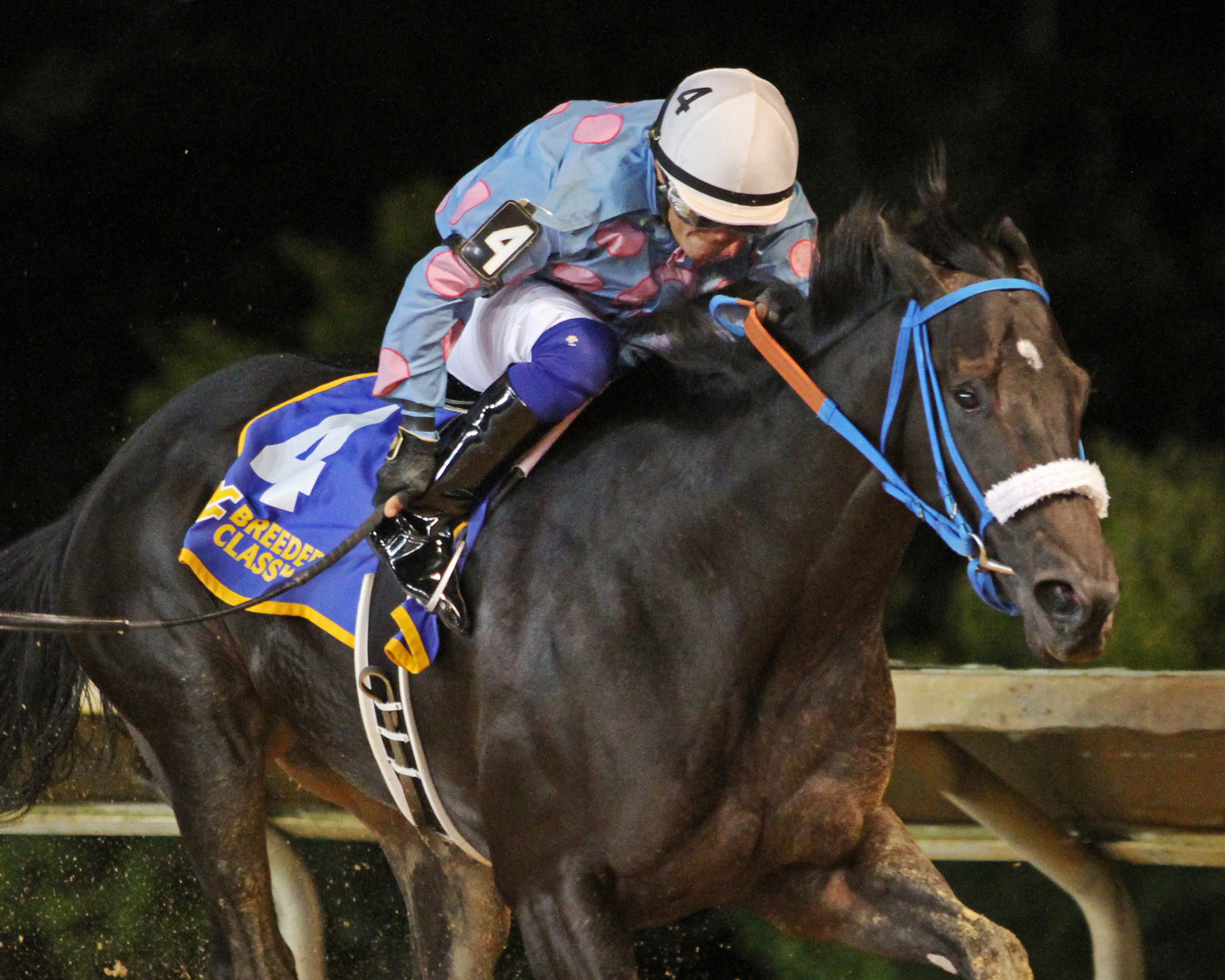 Candy Man's Girl wins the West Virginia Cavada Breeders Classic Stakes