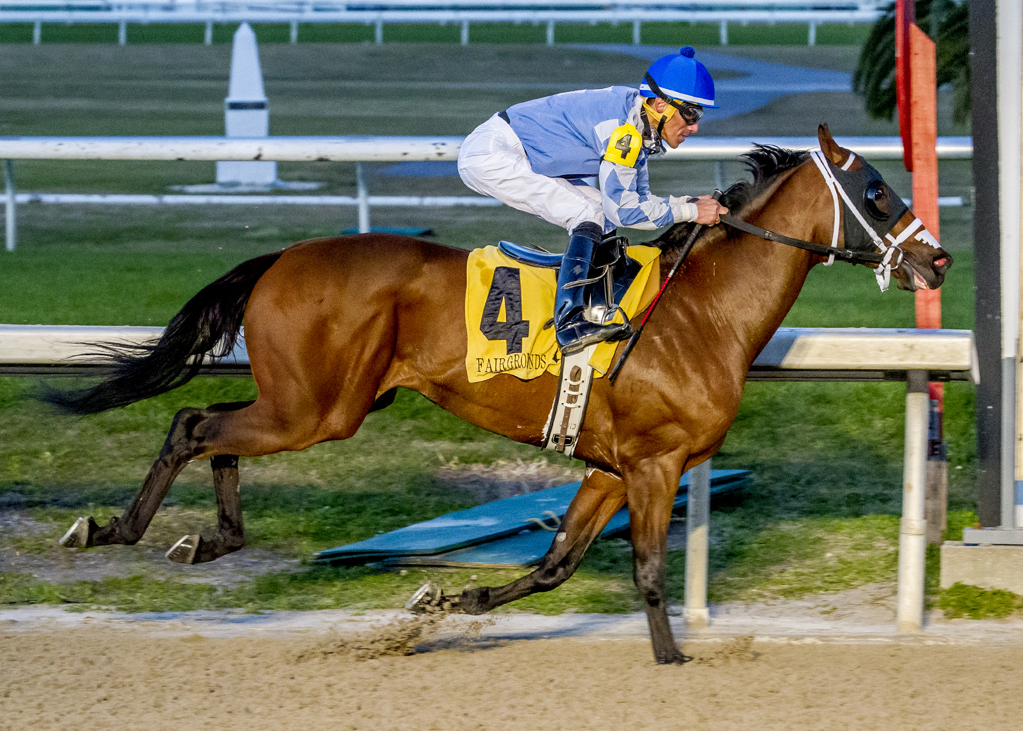 Candy My Boy wins a first-level optional claimer on Jan. 18