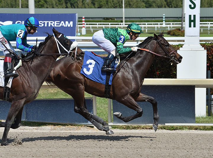 Candy Machine wins an April 3 maiden race at Gulfstream Park