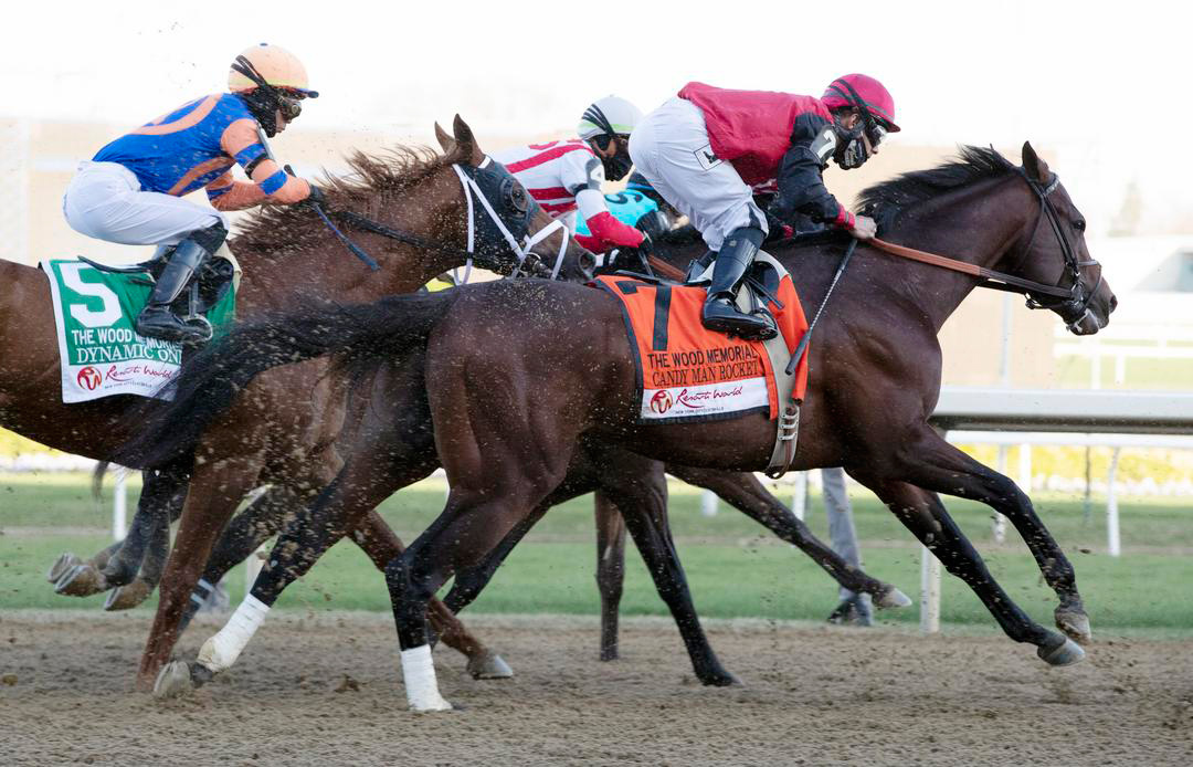 Candy Man Rocket finished ninth and last in the Wood Memorial Stakes at Aqueduct