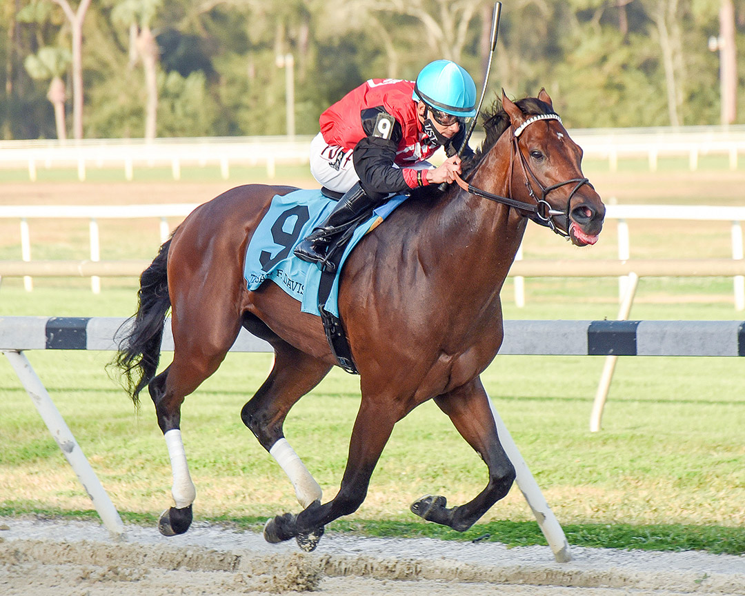 Candy Man Rocket wins the 2021 Sam F. Davis Stakes at Tampa Bay Downs