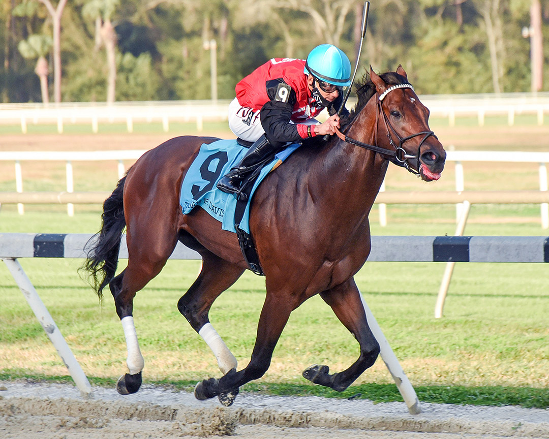 Candy Man Rocket wins the 2021 Sam F. Davis at Tampa Bay Downs