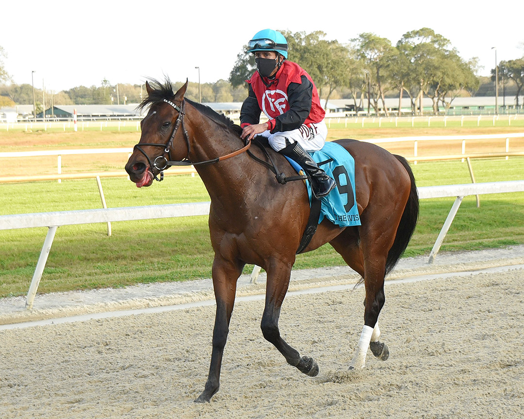 Junior Alvarado aboard Candy Man Rocket after winning the Sam F. Davis Stakes at Tampa Bay Downs