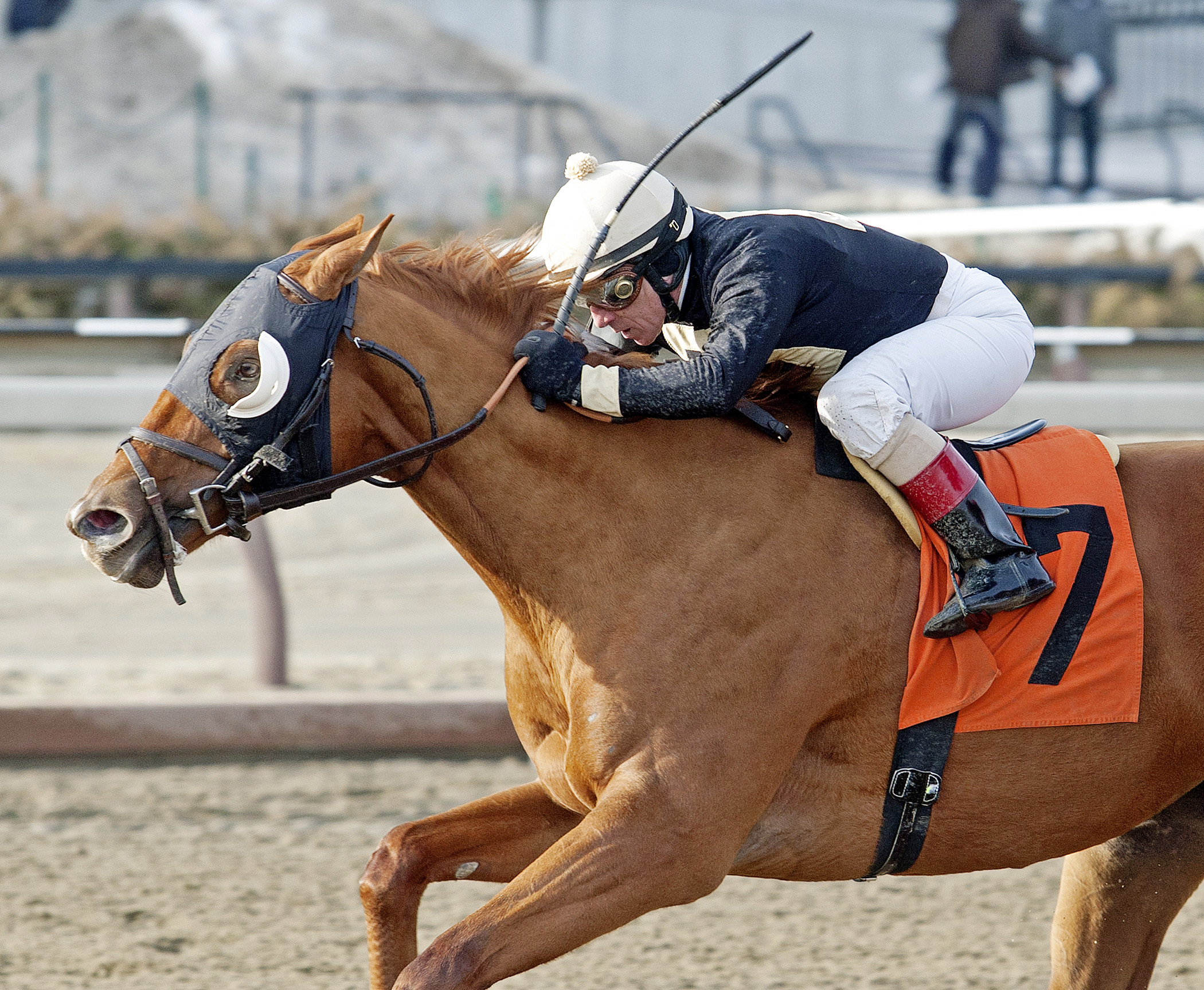 Candyman E wins the Toboggan