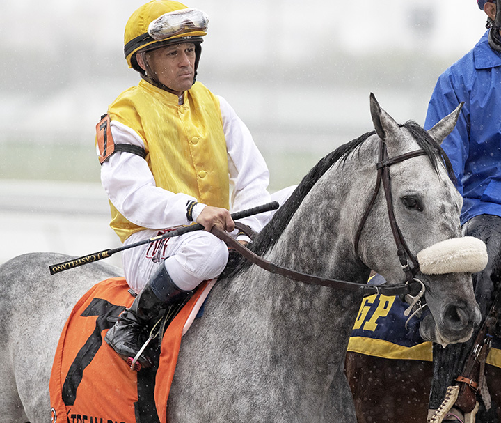 Canessar at the 2019 W. L. McKnight Stakes