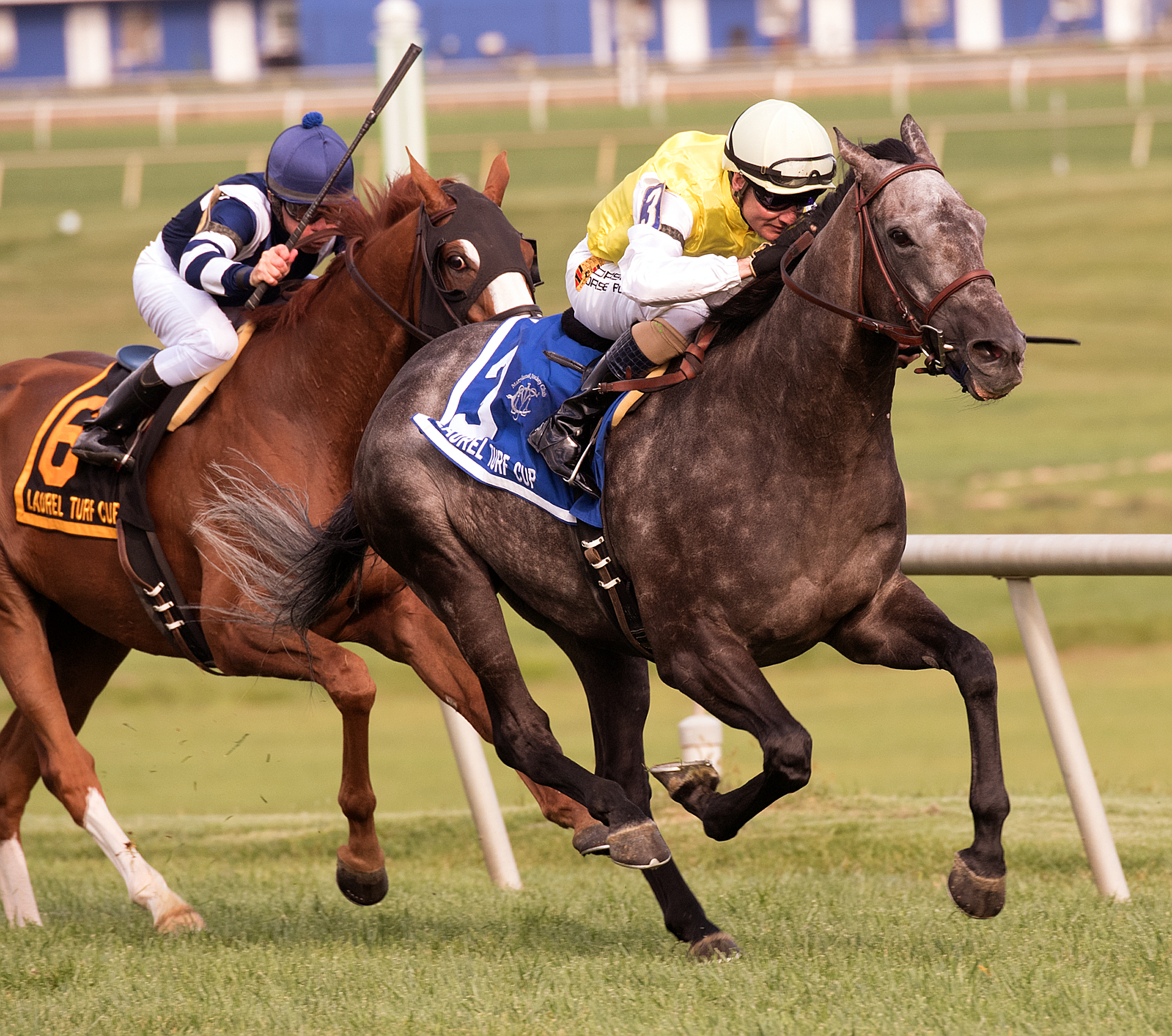 Canessar wins the 2017 Laurel Turf Cup