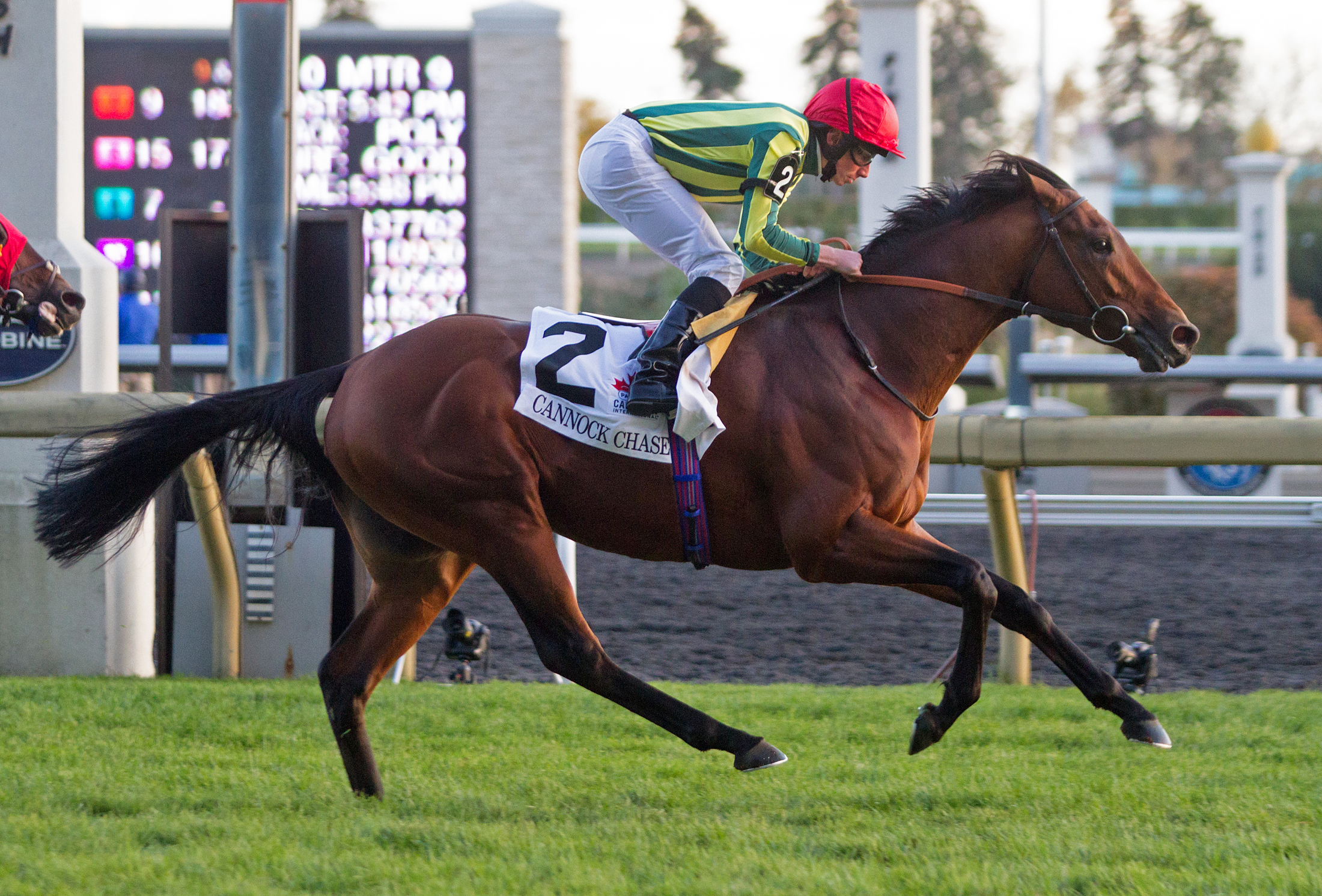 Cannock Chase wins the Canadian International