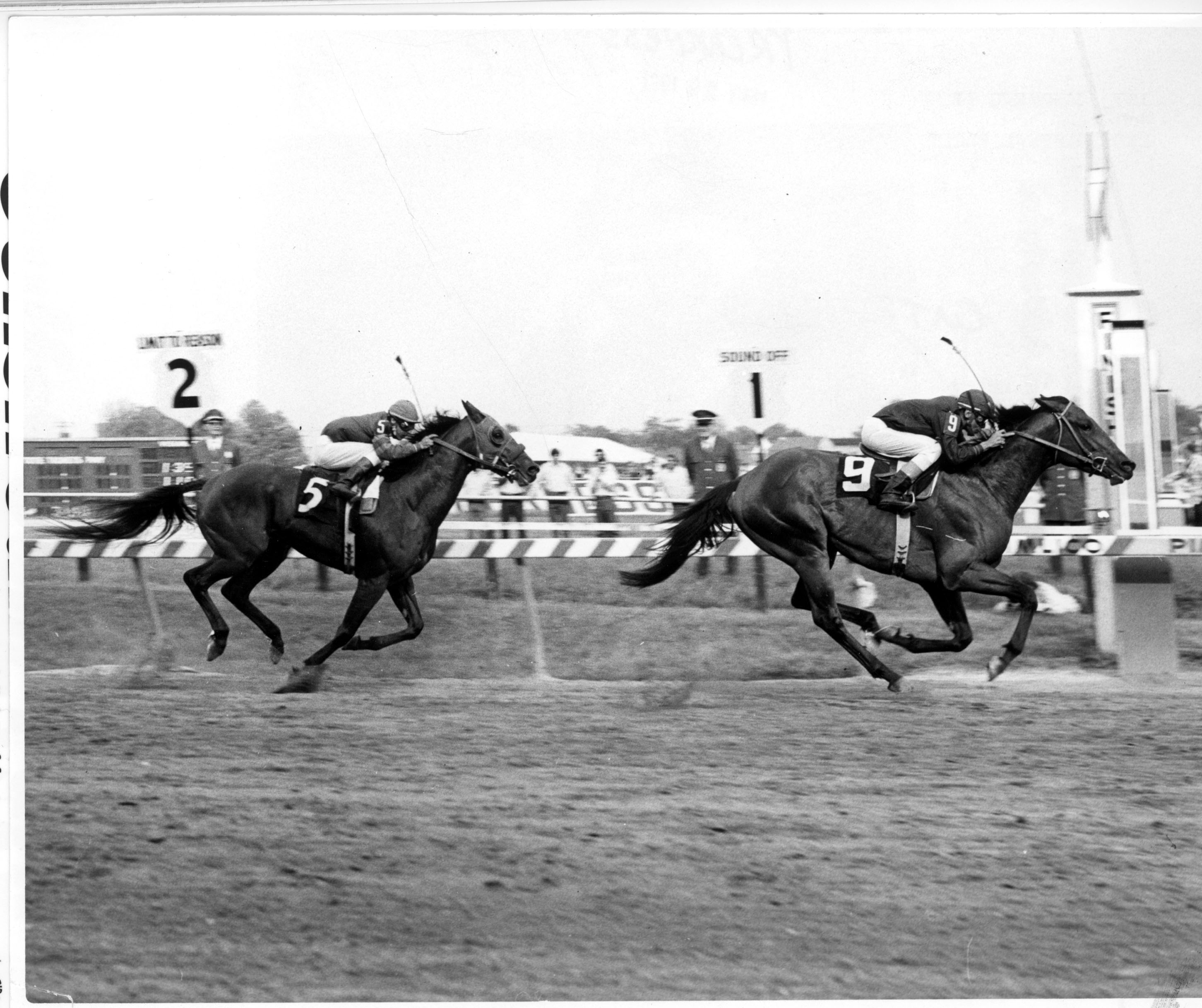 Canonero II wins 1971 Preakness