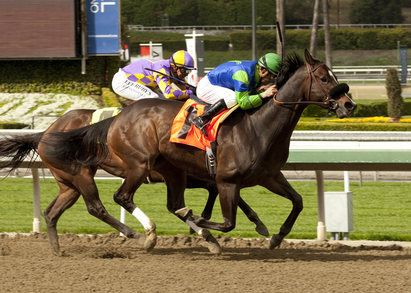 Canonize/Santana Mile