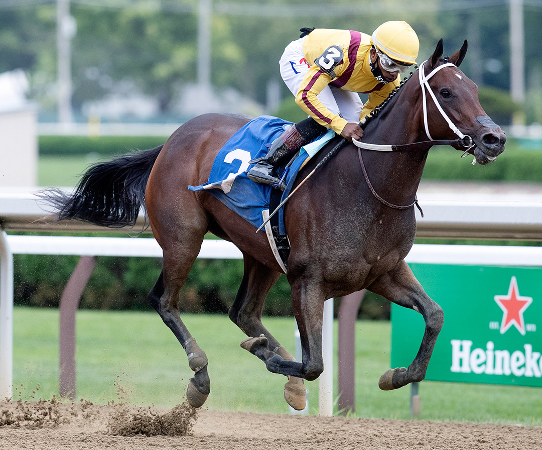 Cantata wins an August 2020 maiden race at Saratoga Race Course
