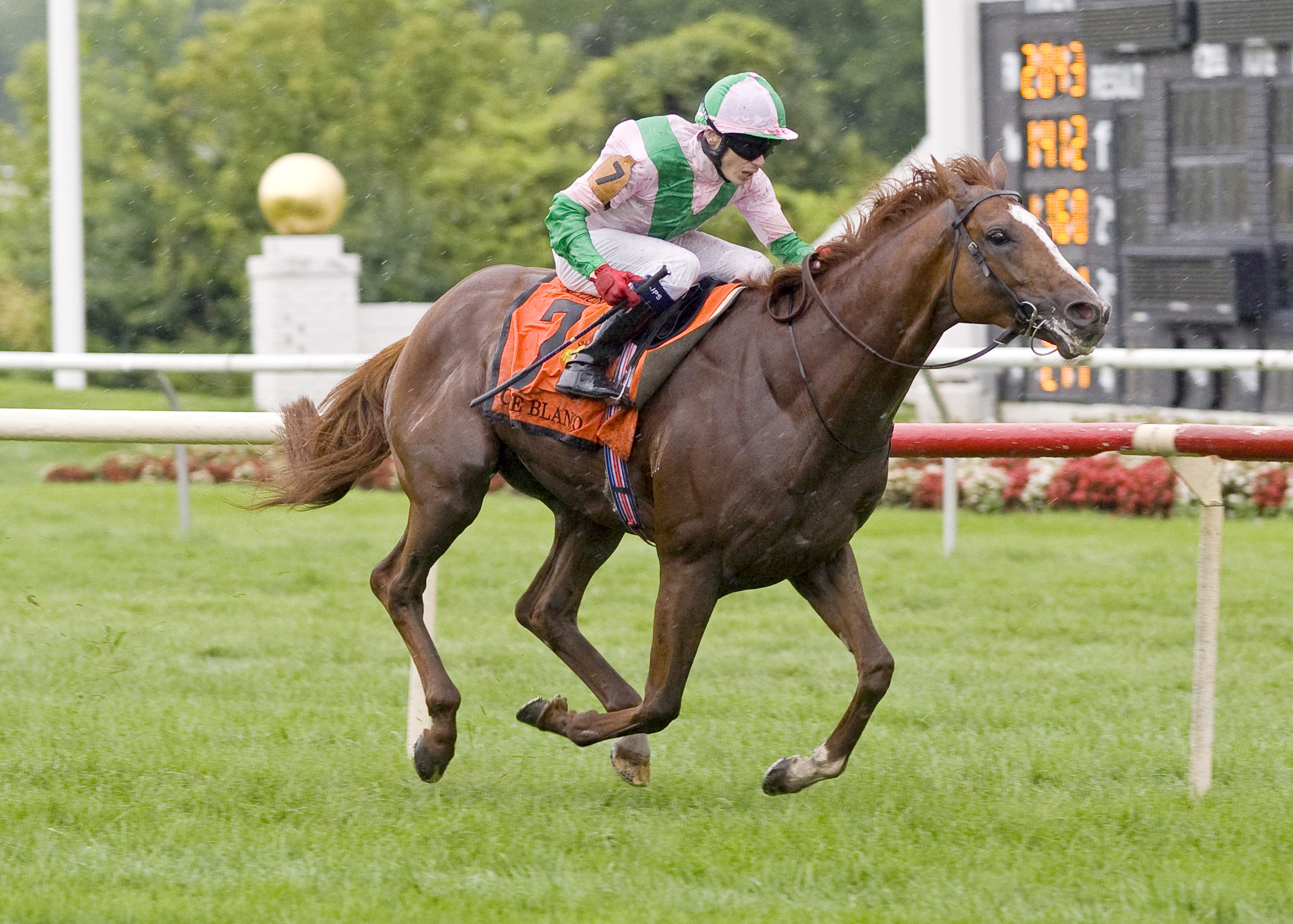 Cape Blanco/Arlington Million