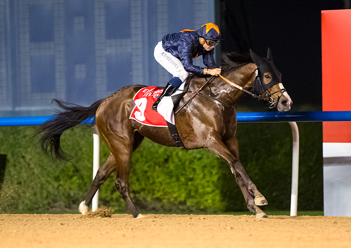 Capezzano wins the 2019 Al Maktoum Challenge - Round 3 at Meydan Racecourse
