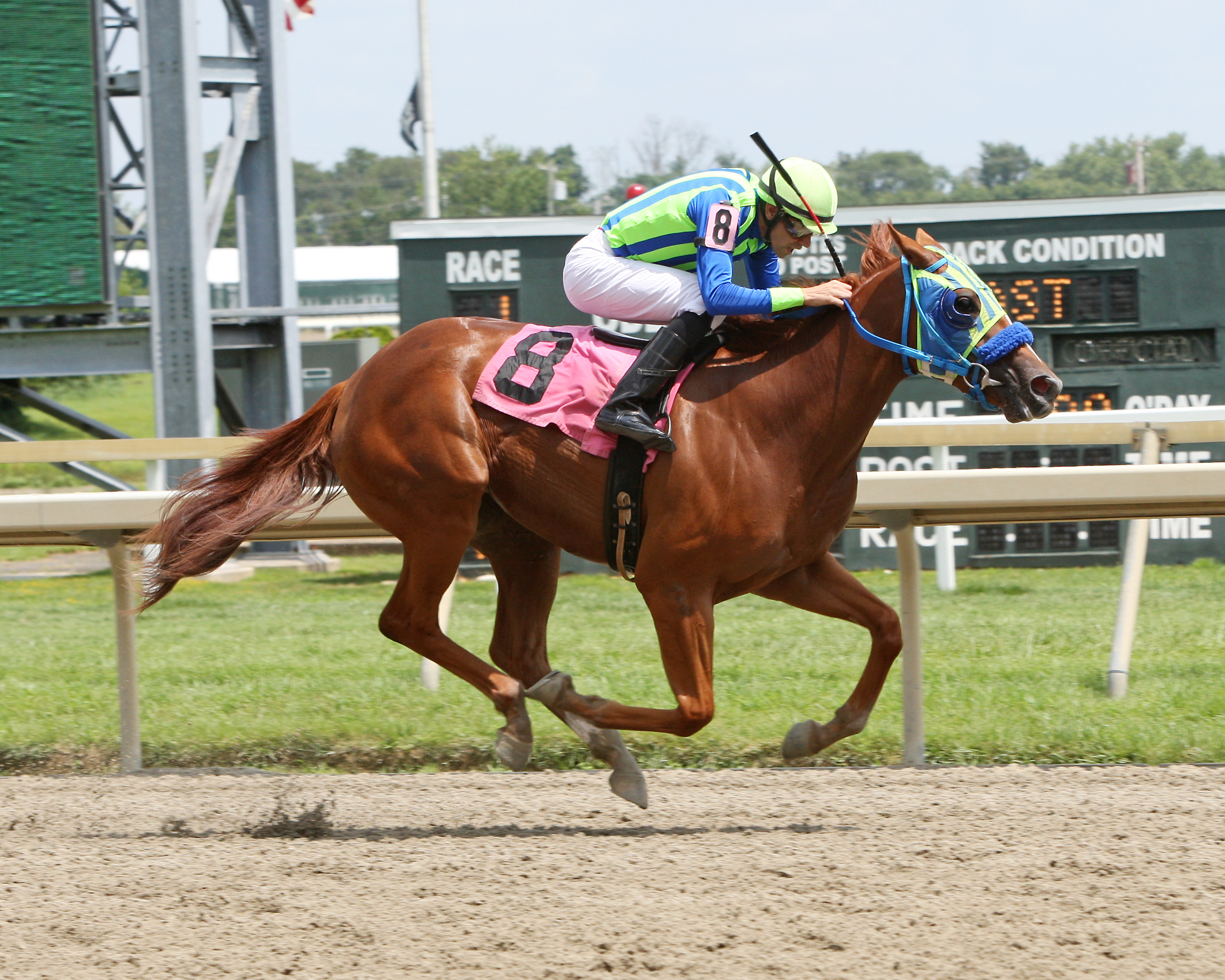 Capital Q wins an Aug. 3 maiden race at Parx Racing