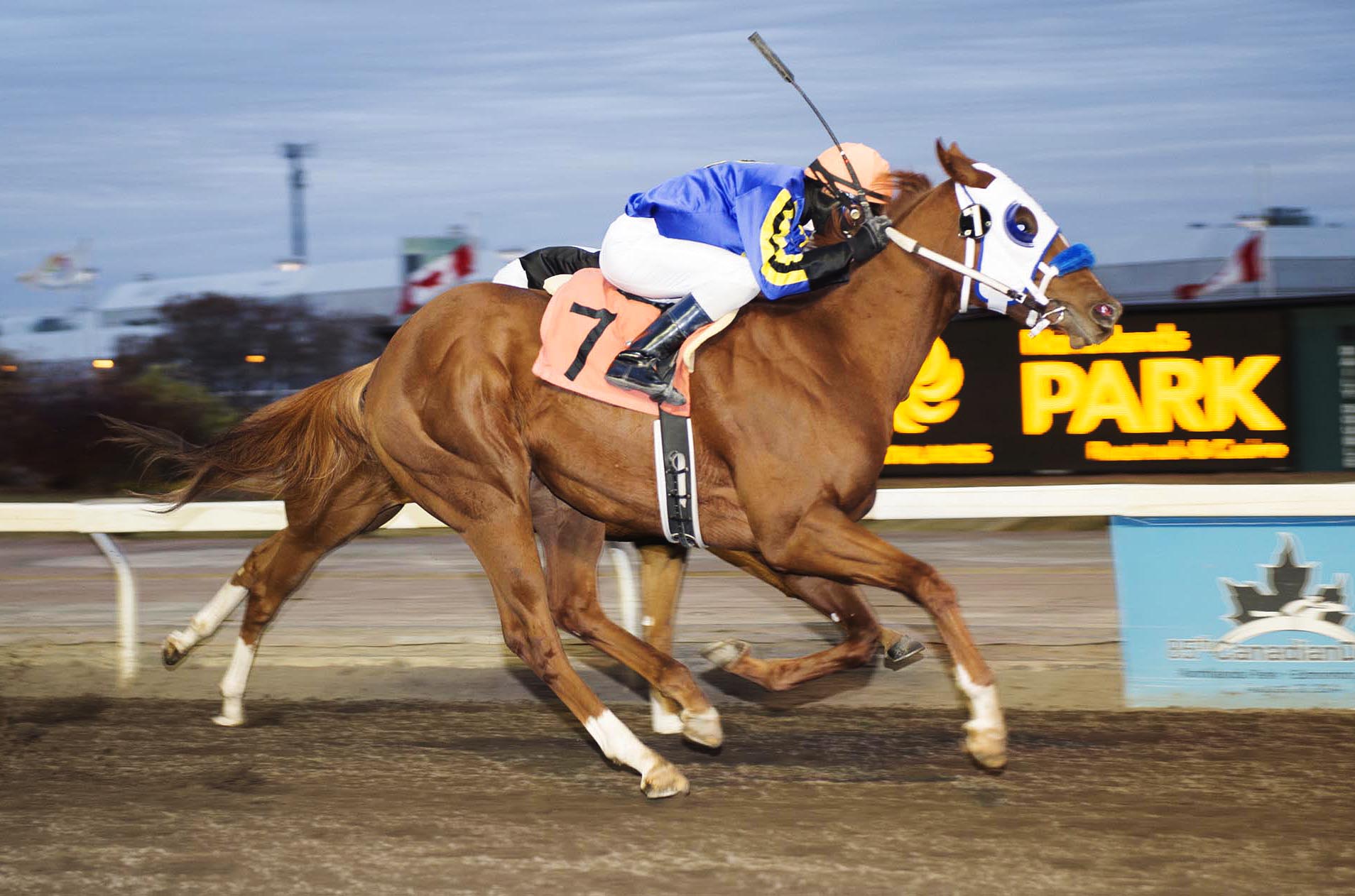 Capitalism wins the 2014 Canadian Juvenile Stakes