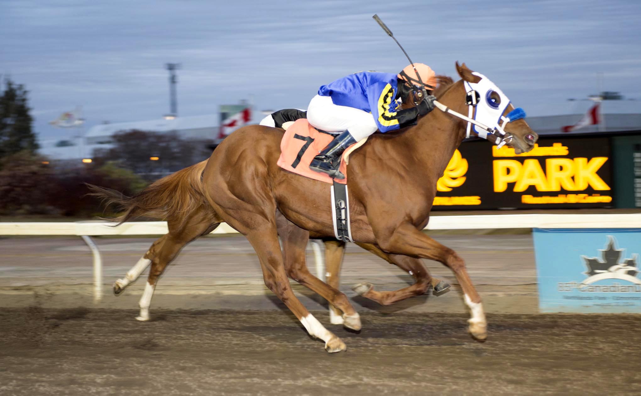 Capitalism wins the Canadian Juvenile Stakes
