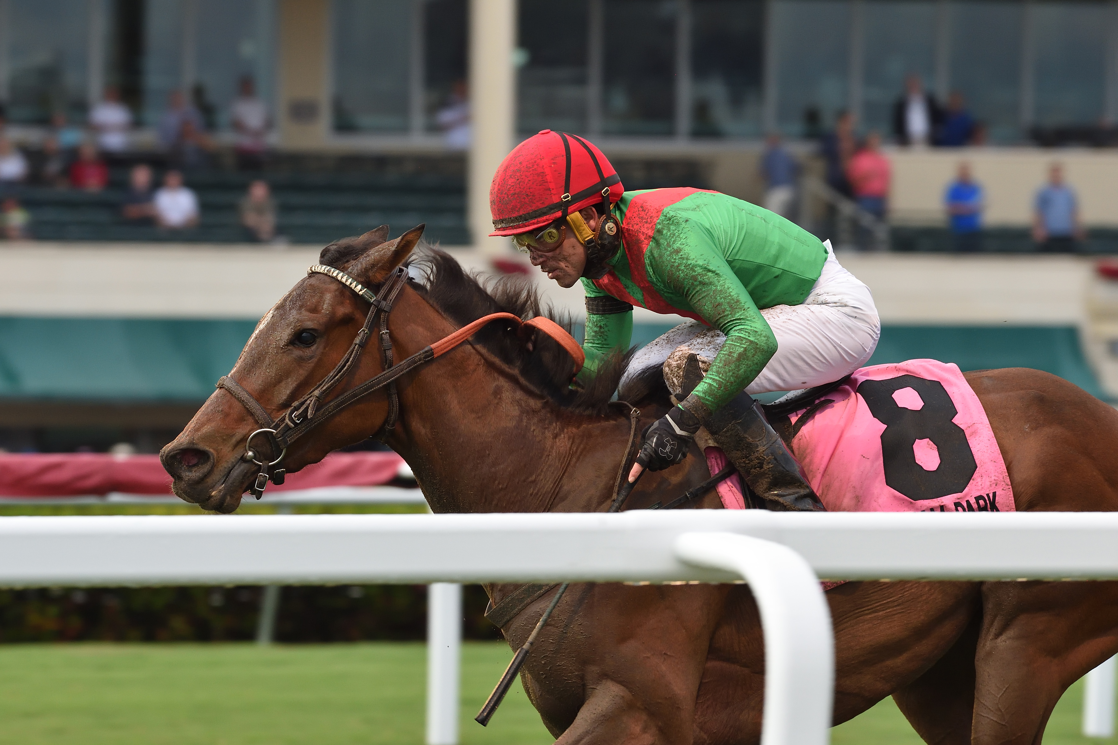 Capla Temptress wins the 2018 My Charmer Stakes
