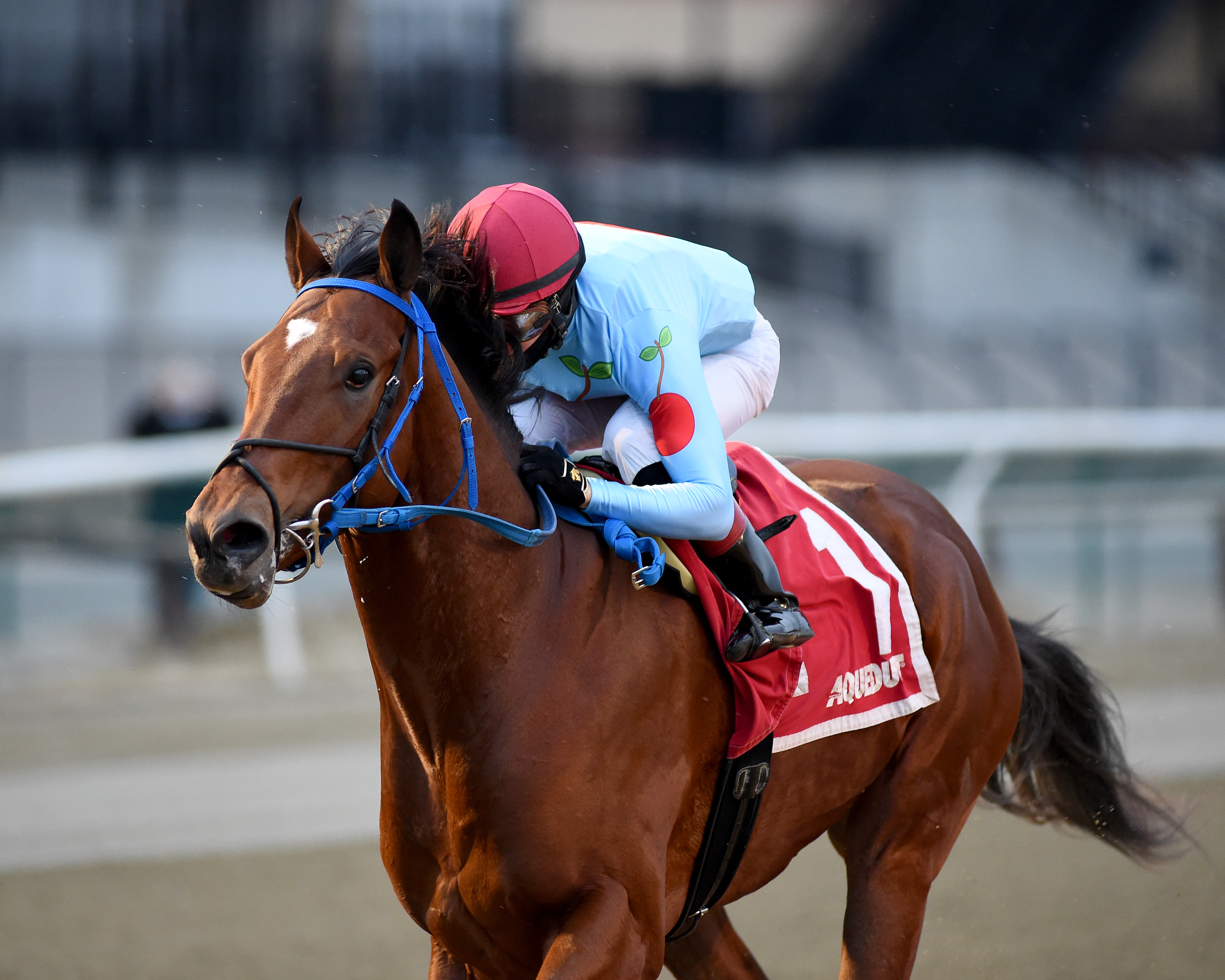 Capo Kane wins the Jerome Stakes 1-1-2021