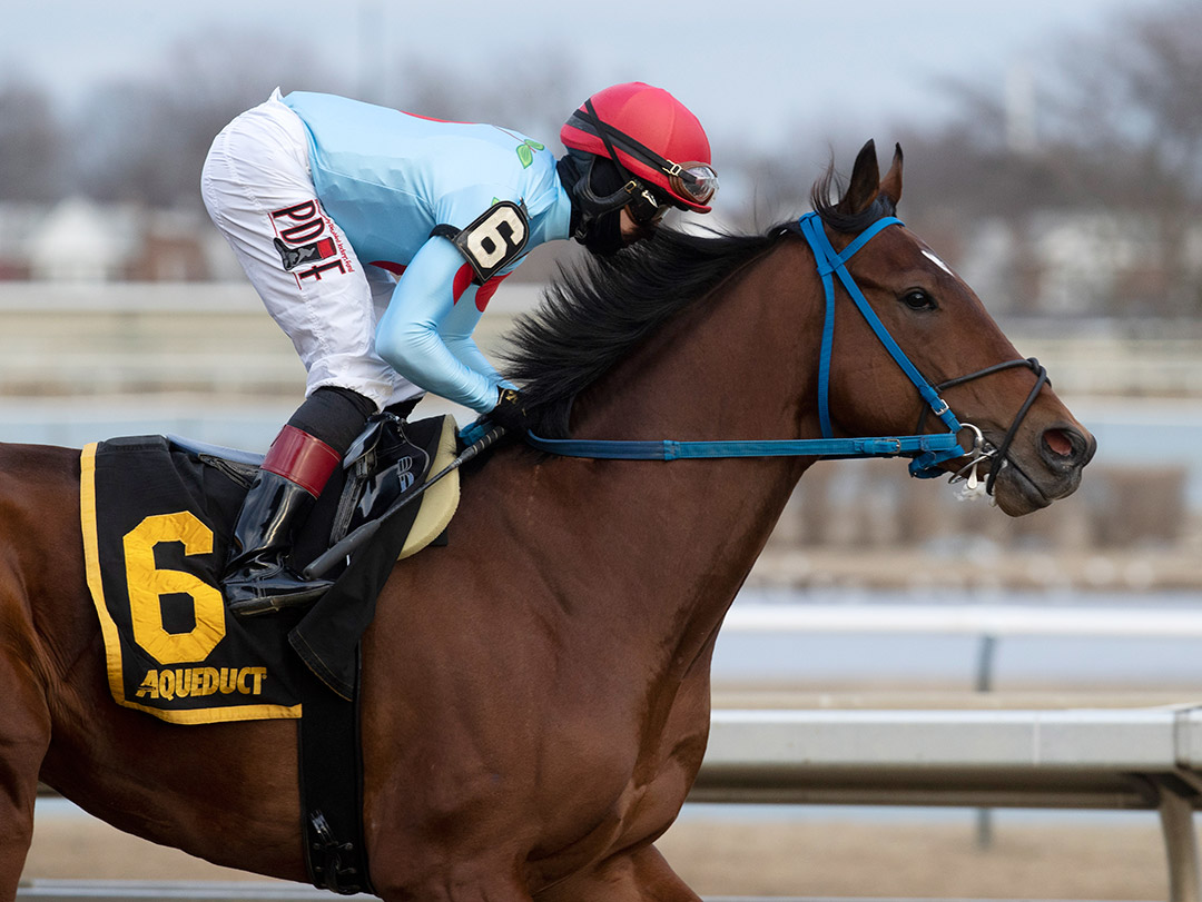 Capo Kane wins the 2021 Jerome Stakes at Aqueduct Racetrack