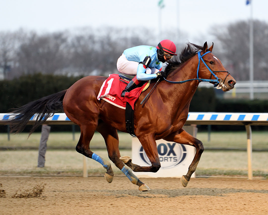 Capo Kane wins the 2021 Jerome Stakes at Aqueduct