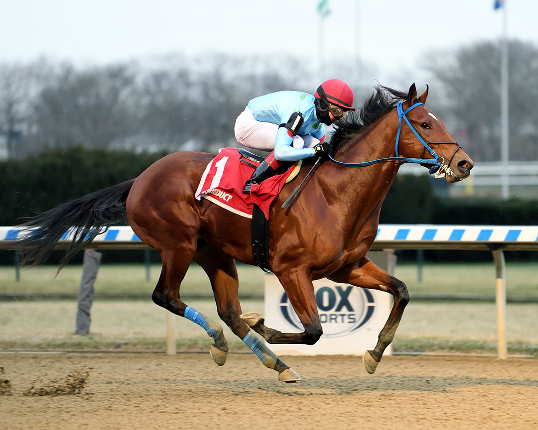 Capo Kane wins the 2021 Jerome Stakes at Aqueduct