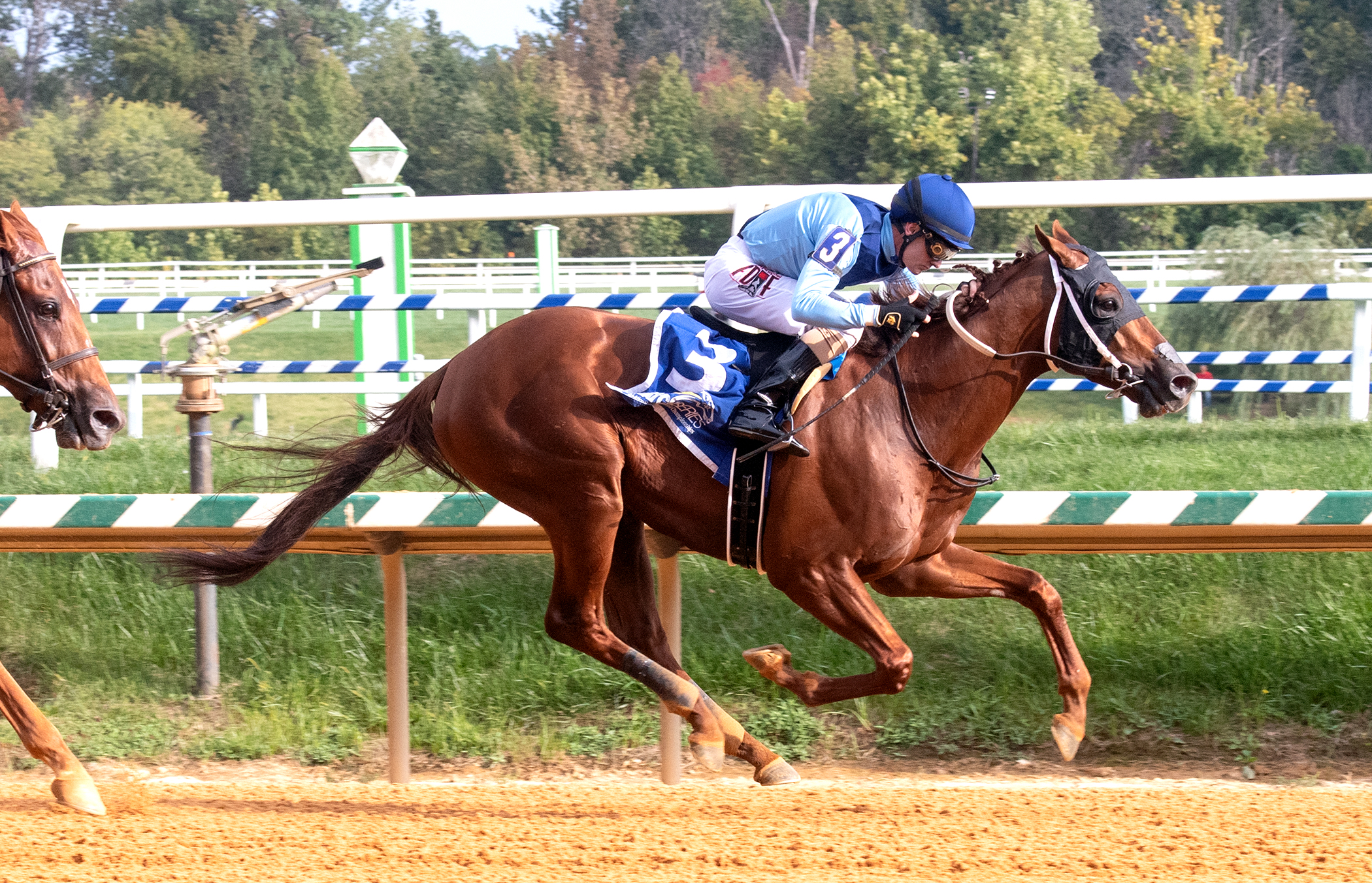 Captain Bombastic wins Polynesian Stakes 9-18-2021