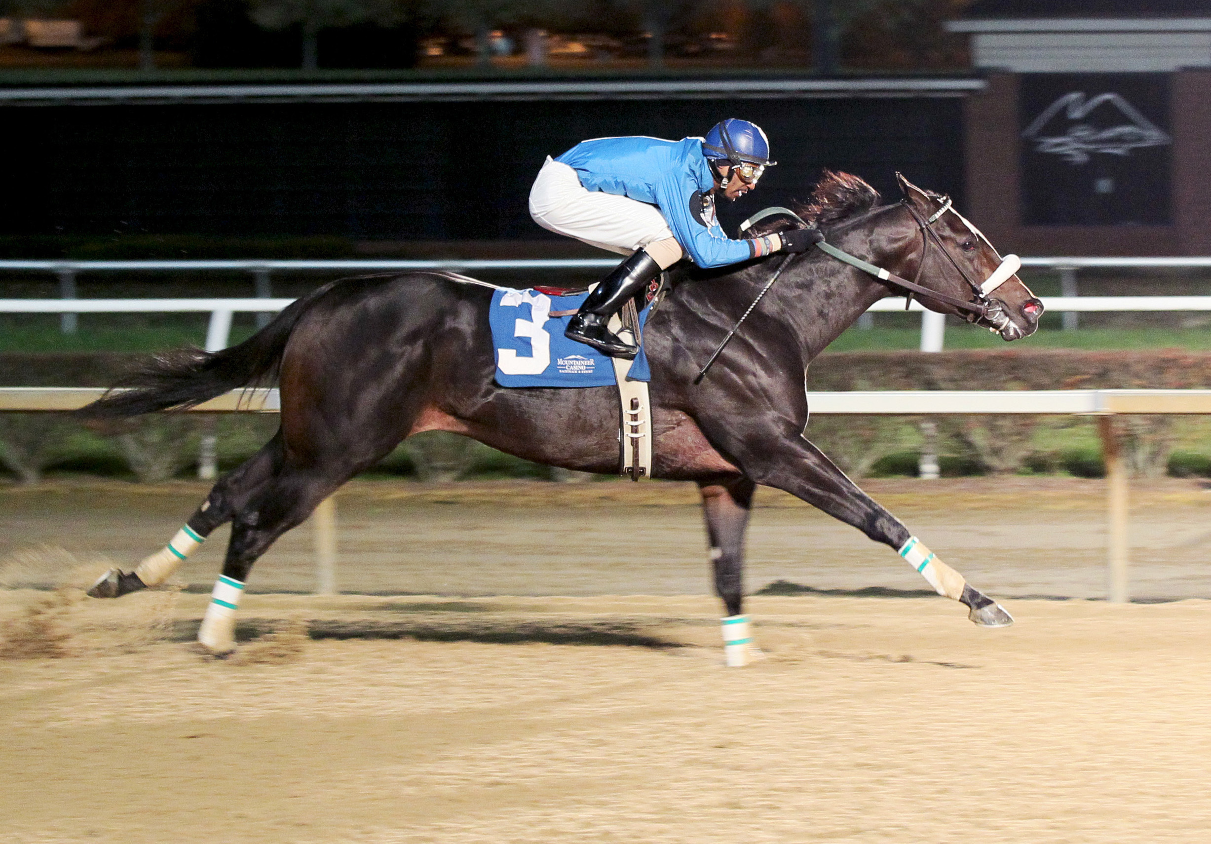 Captain Genius wins the 2012 Sophomore Sprint Championship