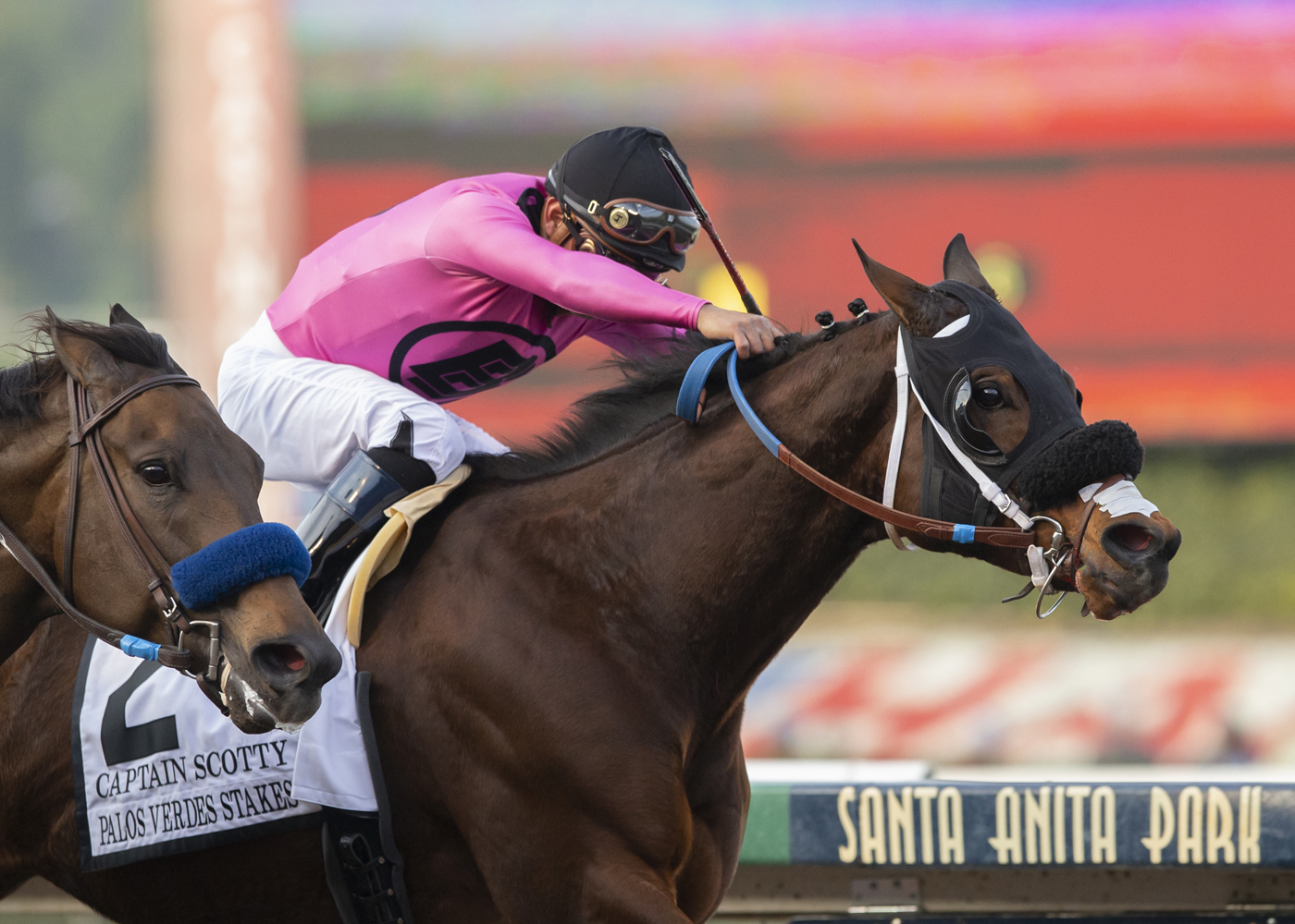 Captain Scotty wins the 2020 Palos Verdes Stakes