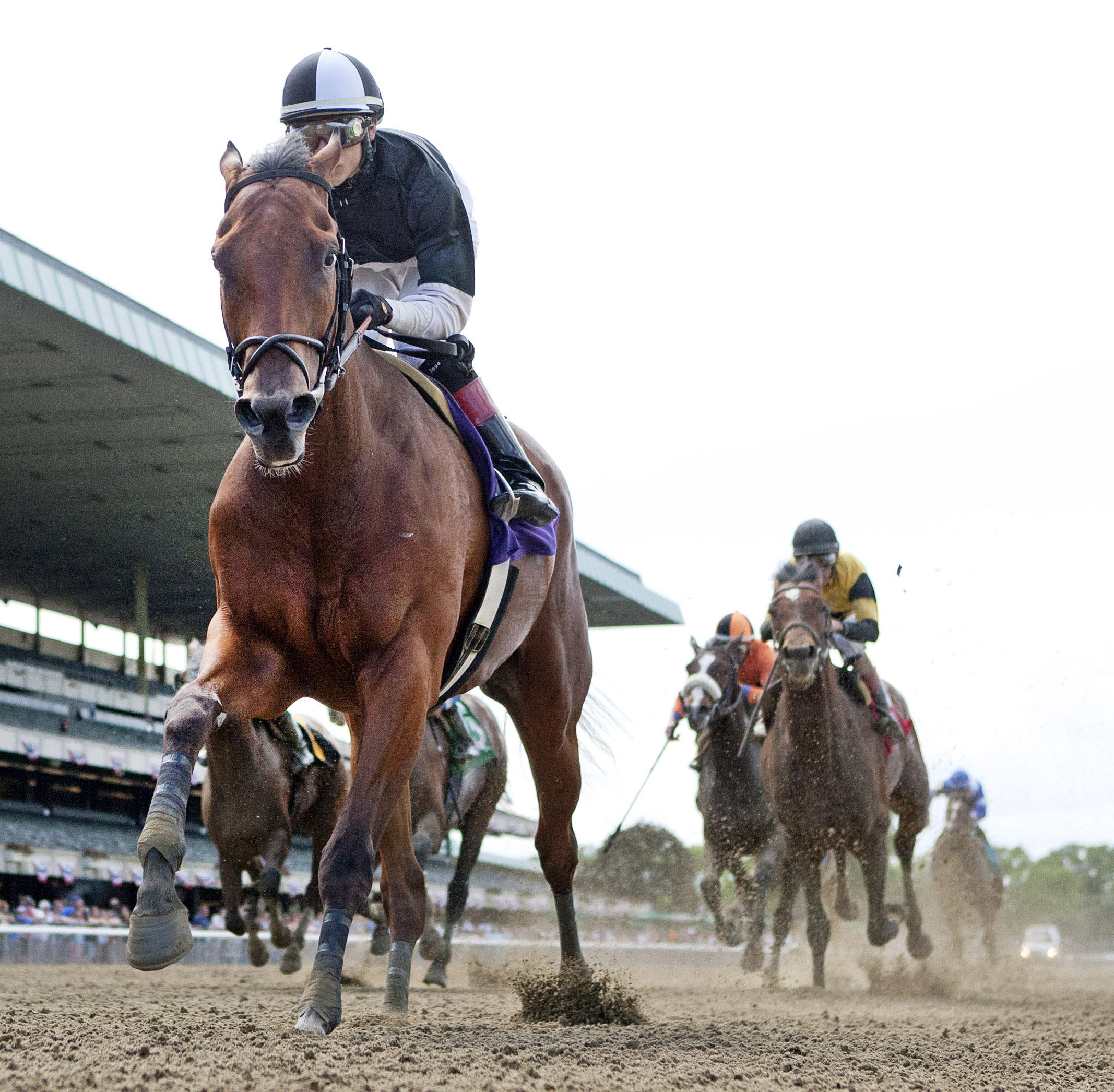 Captain Serious wins the Mike Lee