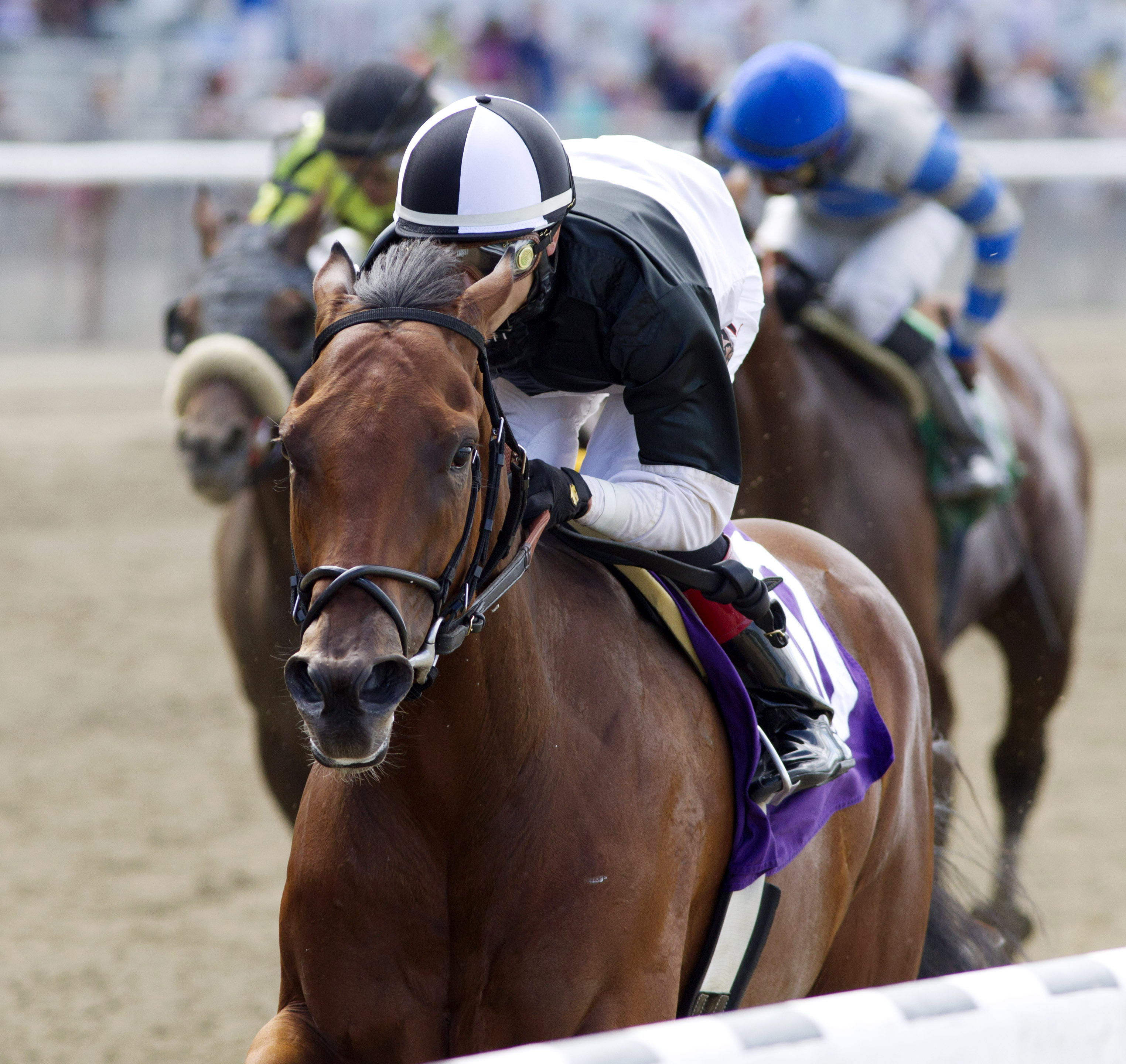 Captain Serious wins the Mike Lee