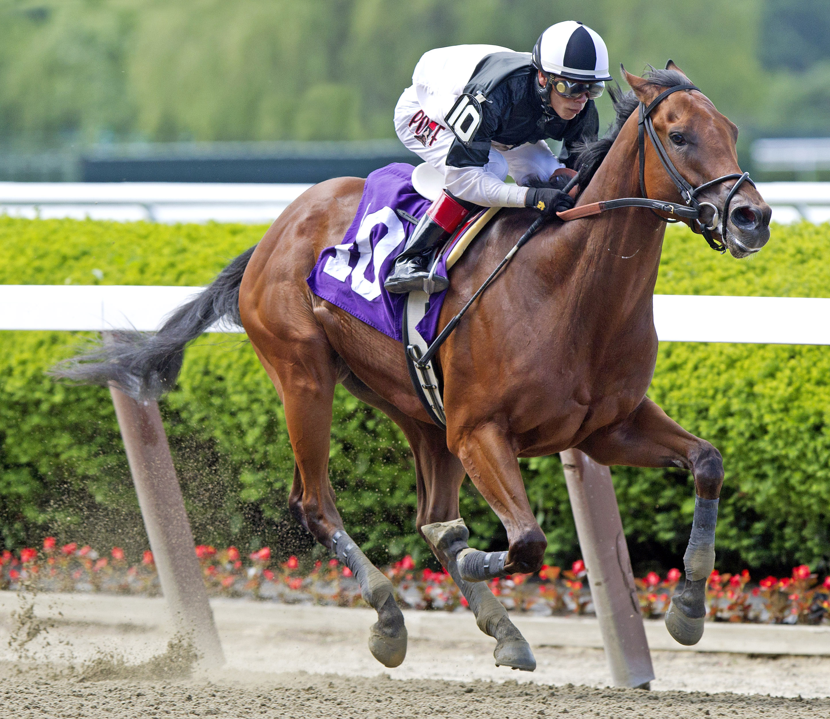 Captain Serious wins the Mike Lee