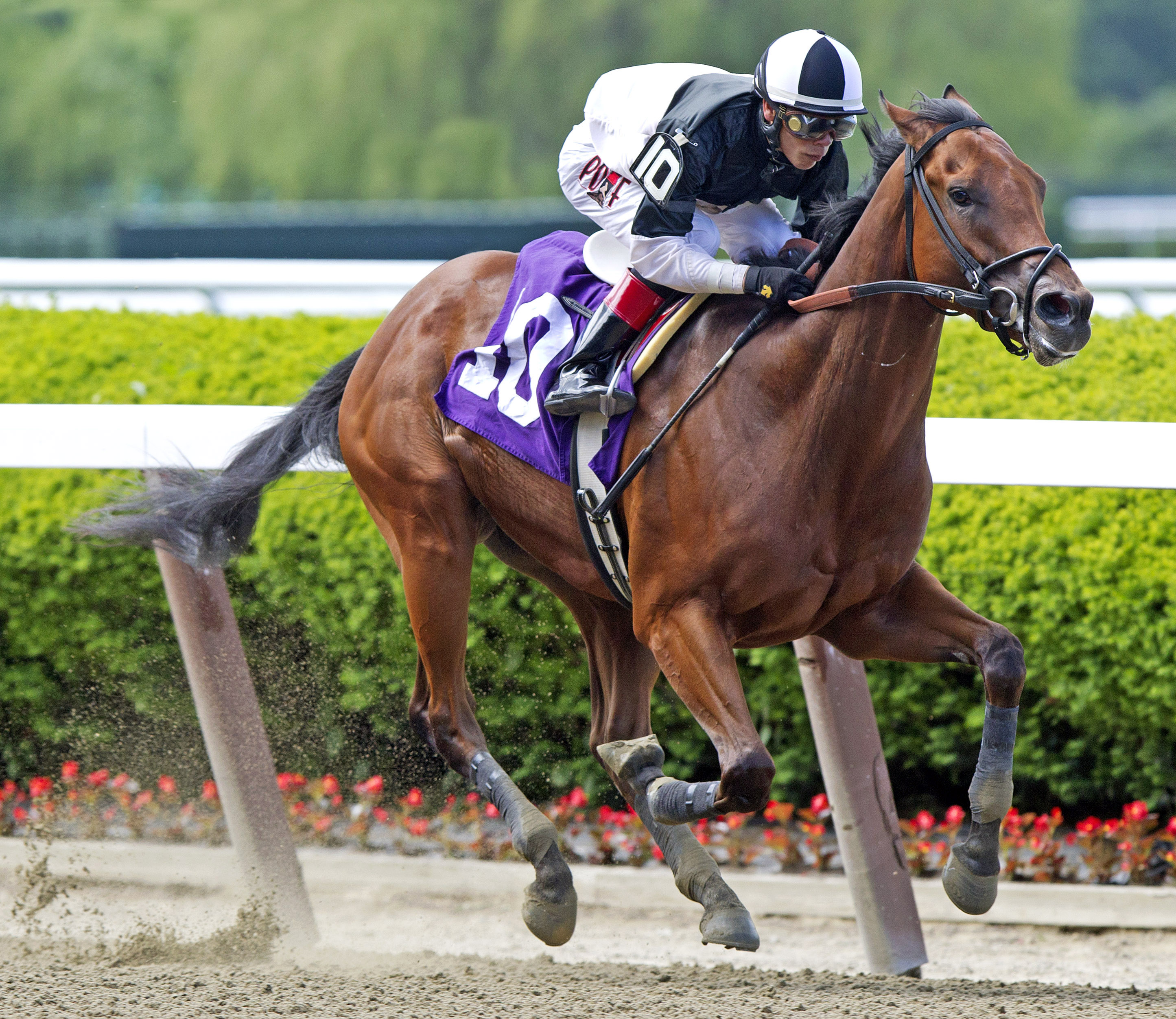 Captain Serious wins the Mike Lee