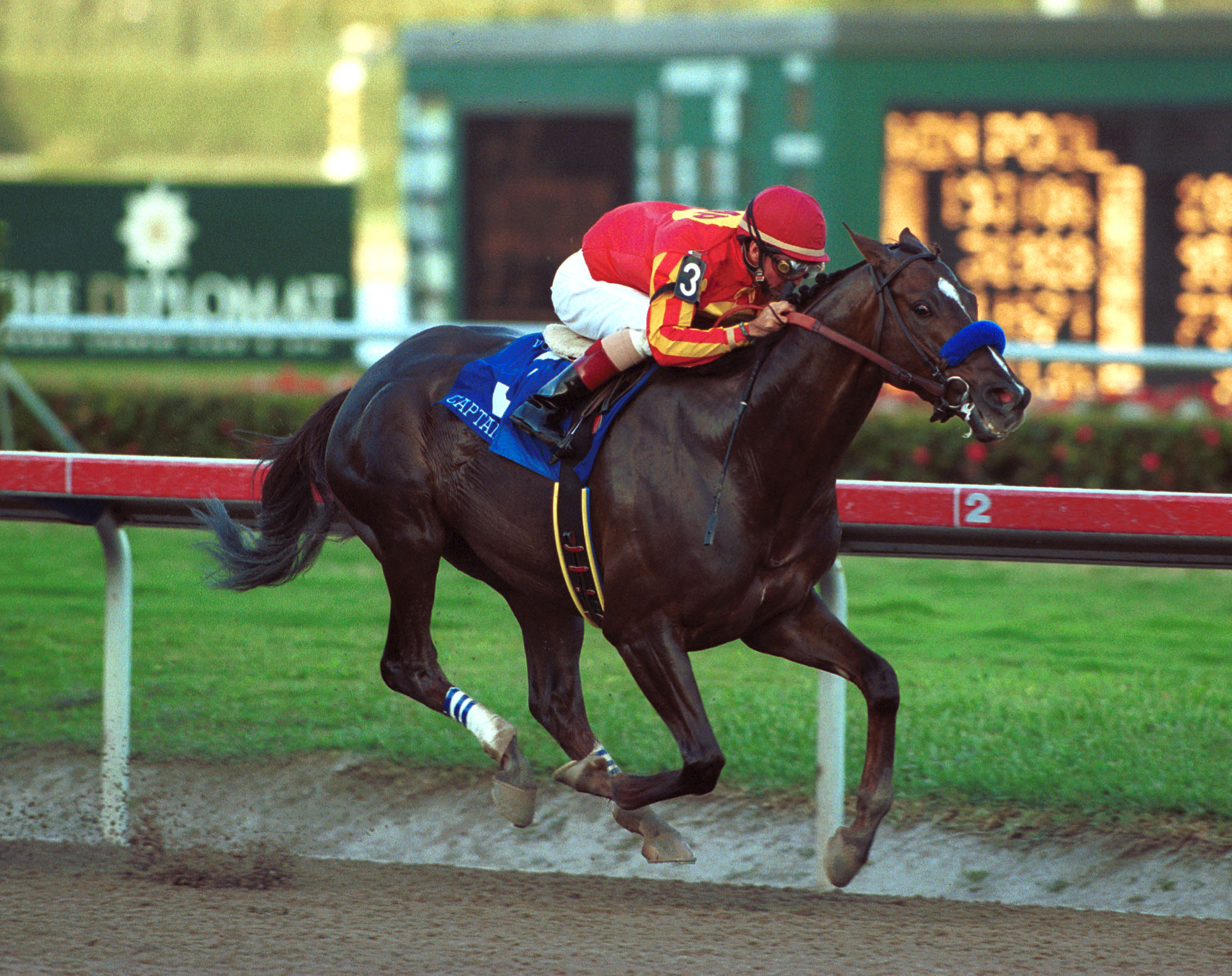 Captain Steve, 2001 Donn Handicap