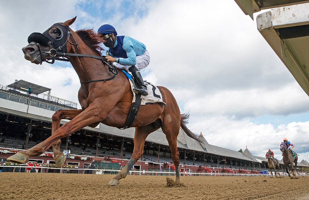 Captain Bombastic wins the New York Stallion Series Times Square division at Saratoga