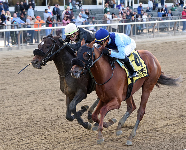 Captain Bombastic (4) wins the 2019 Sleepy Hollow Stakes at Belmont Park