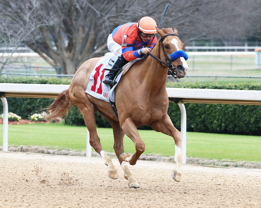 Captain Don wins a February 2020 maiden race at Oaklawn Park