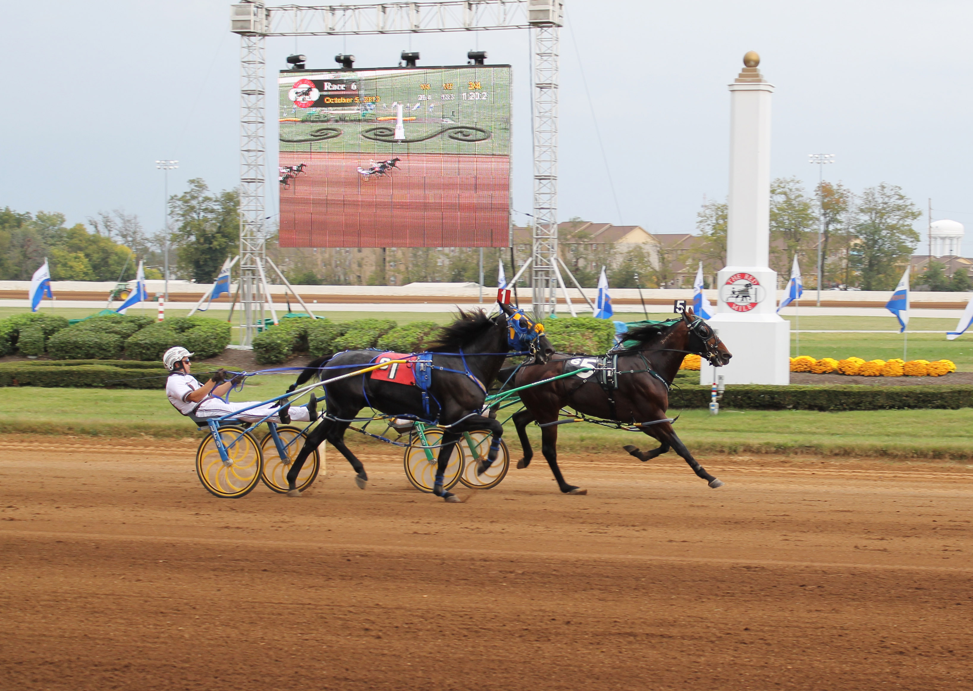 Captaintreacherous_Tattersalls